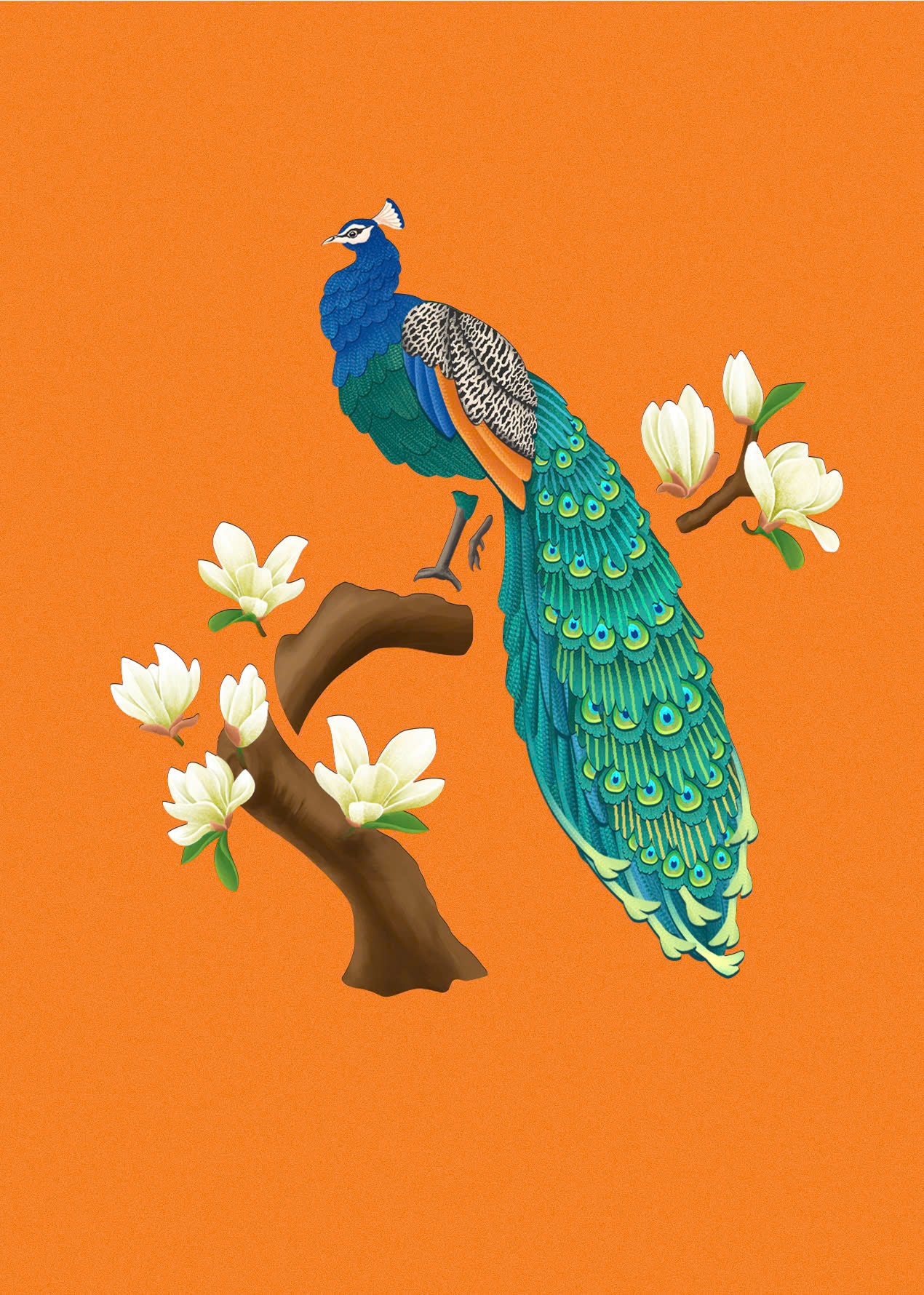 Peacock Magnolia Pop Up Cards