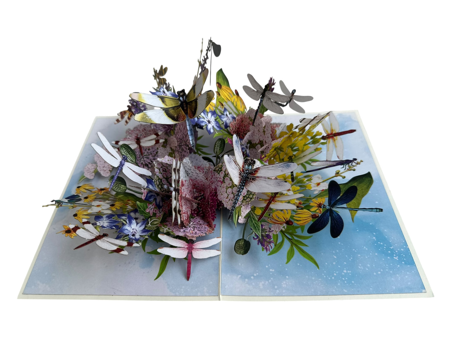 Dragonfly pop up card