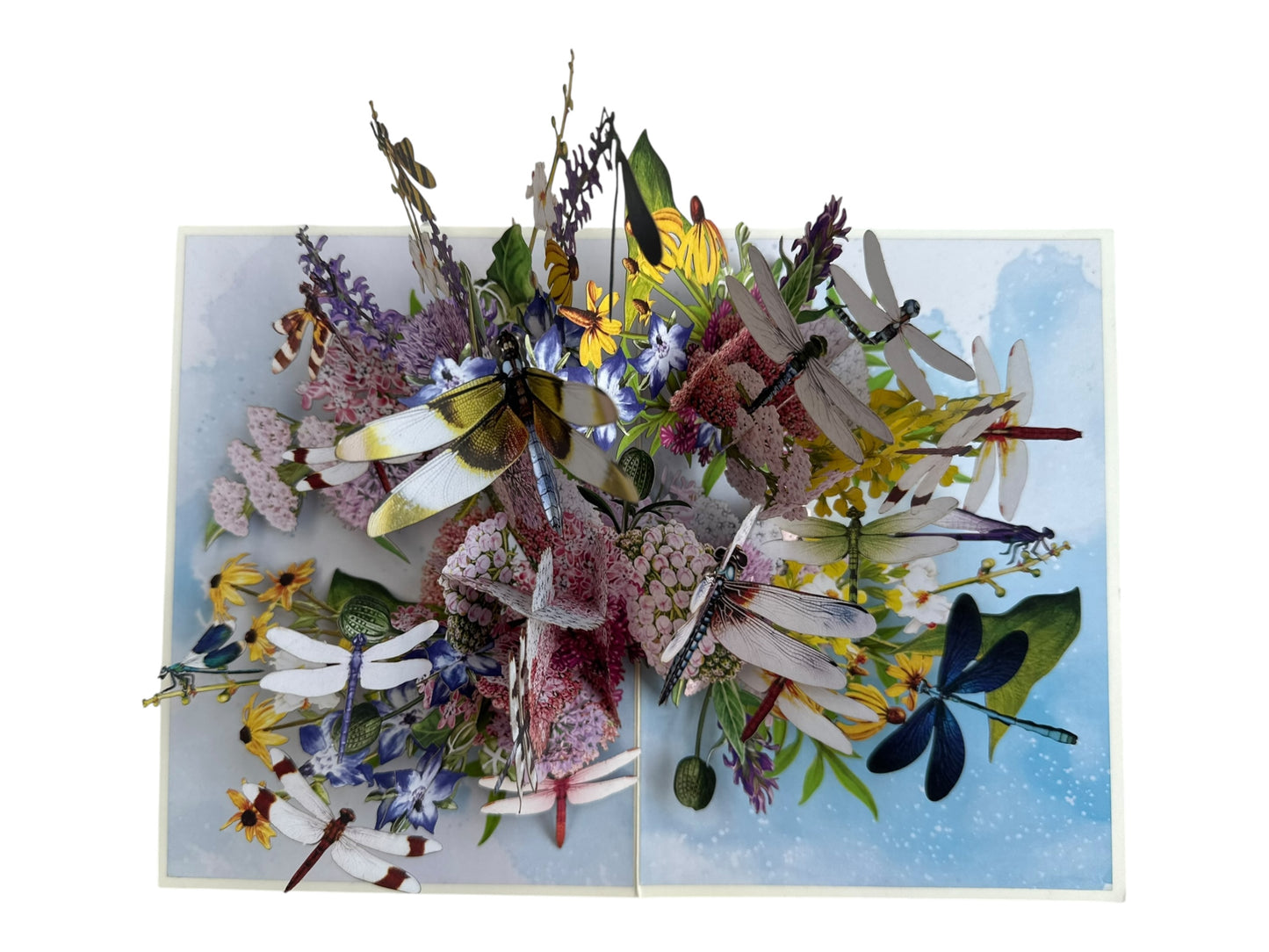 Dragonfly pop up card