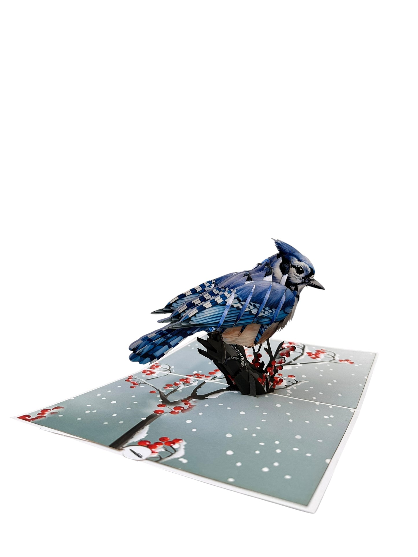 Blue jay Pop Up Card