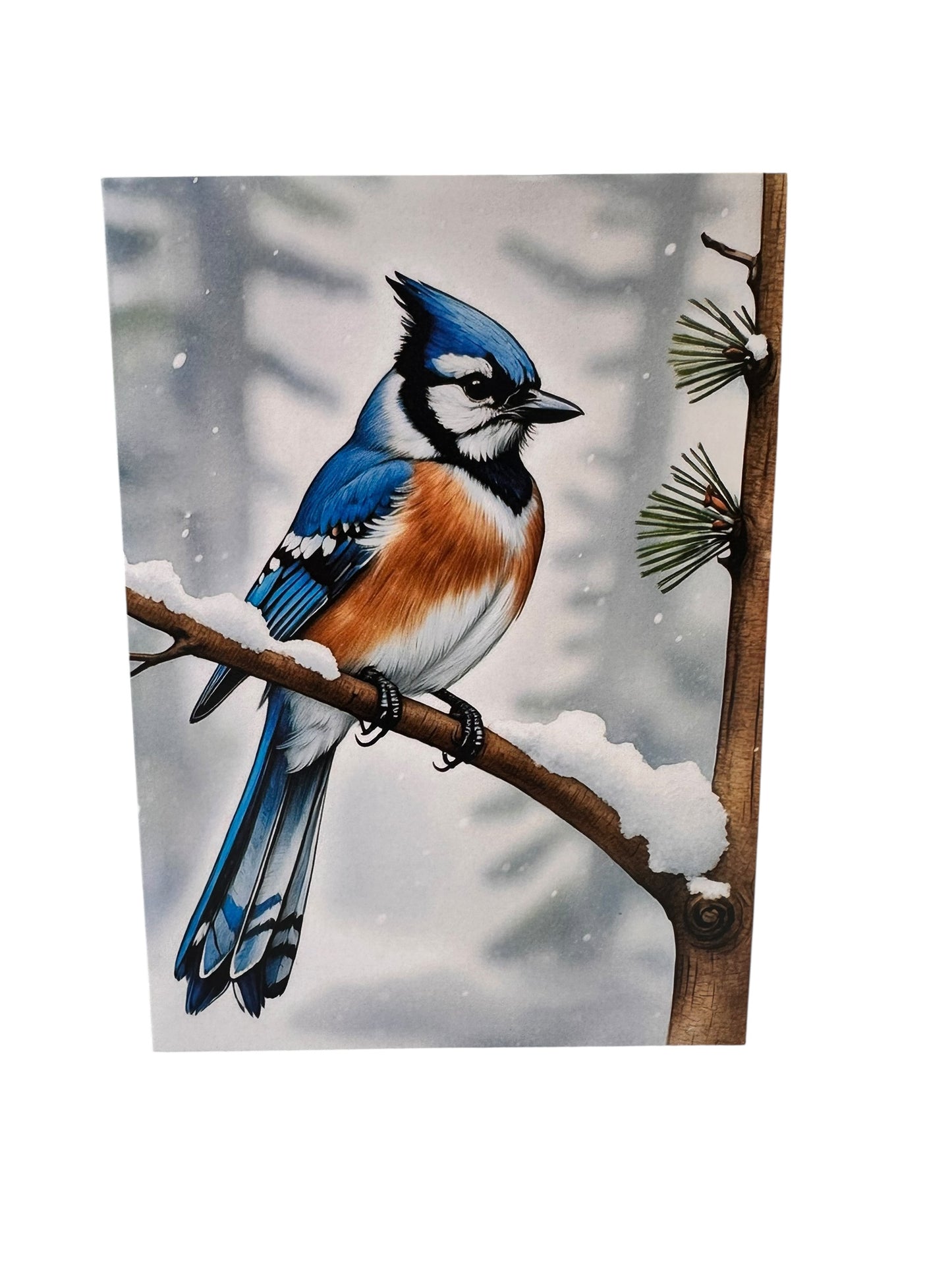 Blue jay Pop Up Card