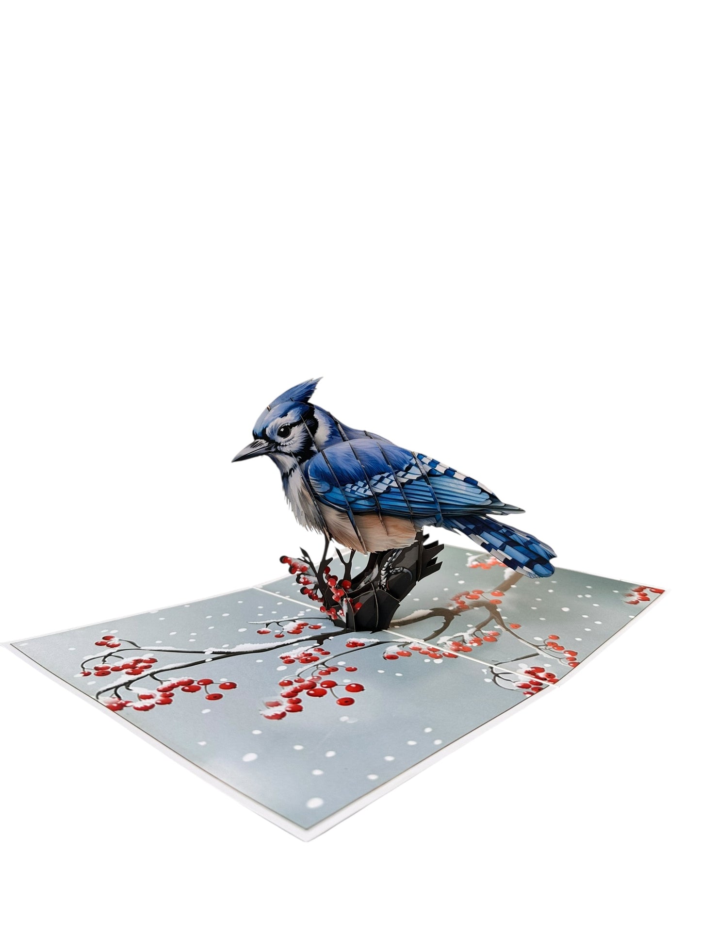 Blue jay Pop Up Card