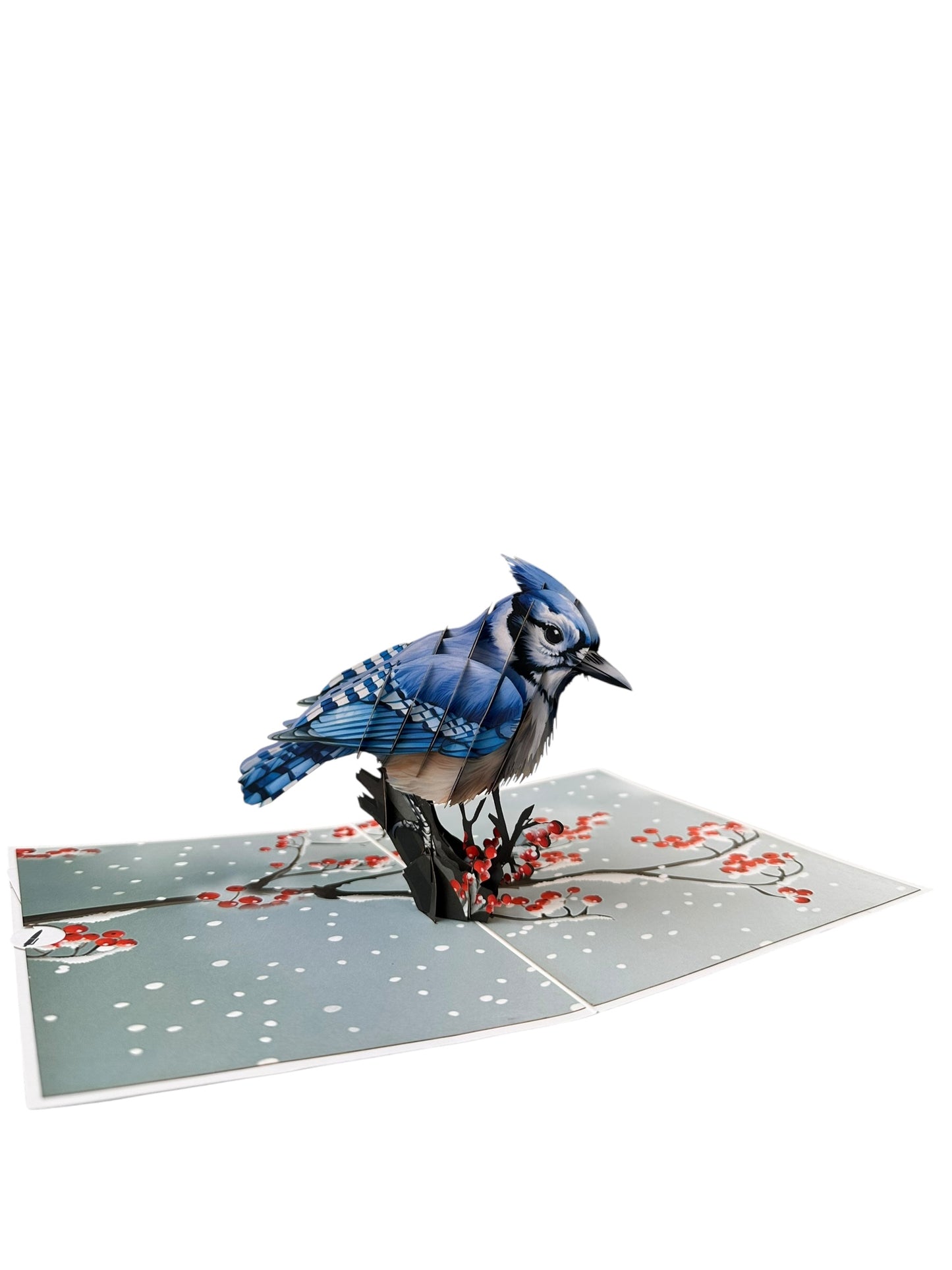 Blue jay Pop Up Card