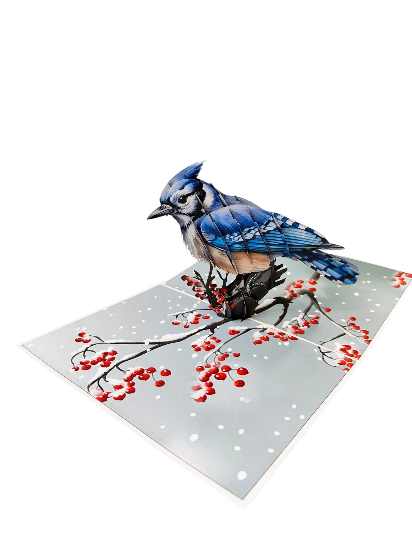 Blue jay Pop Up Card