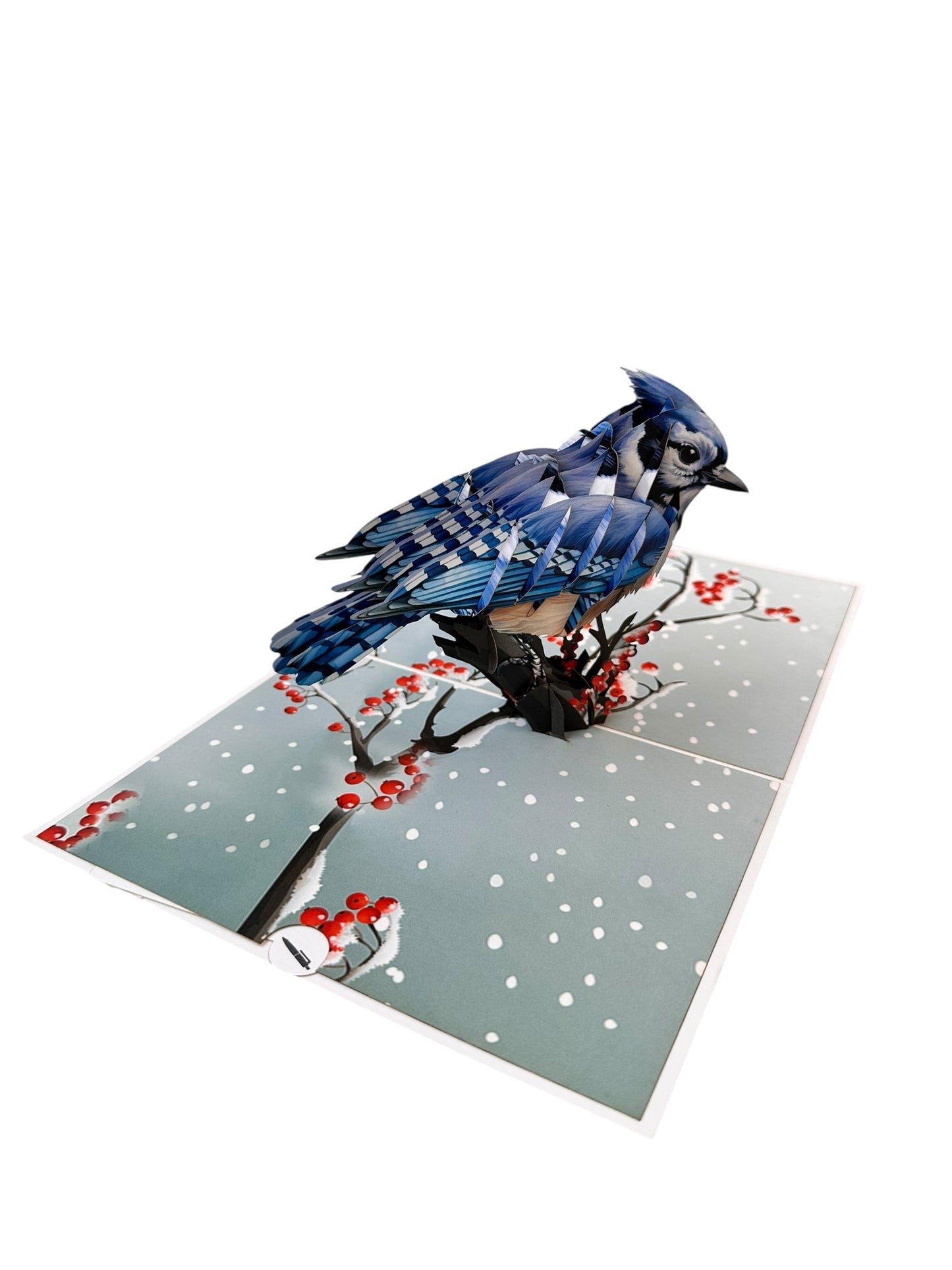Blue jay Pop Up Card