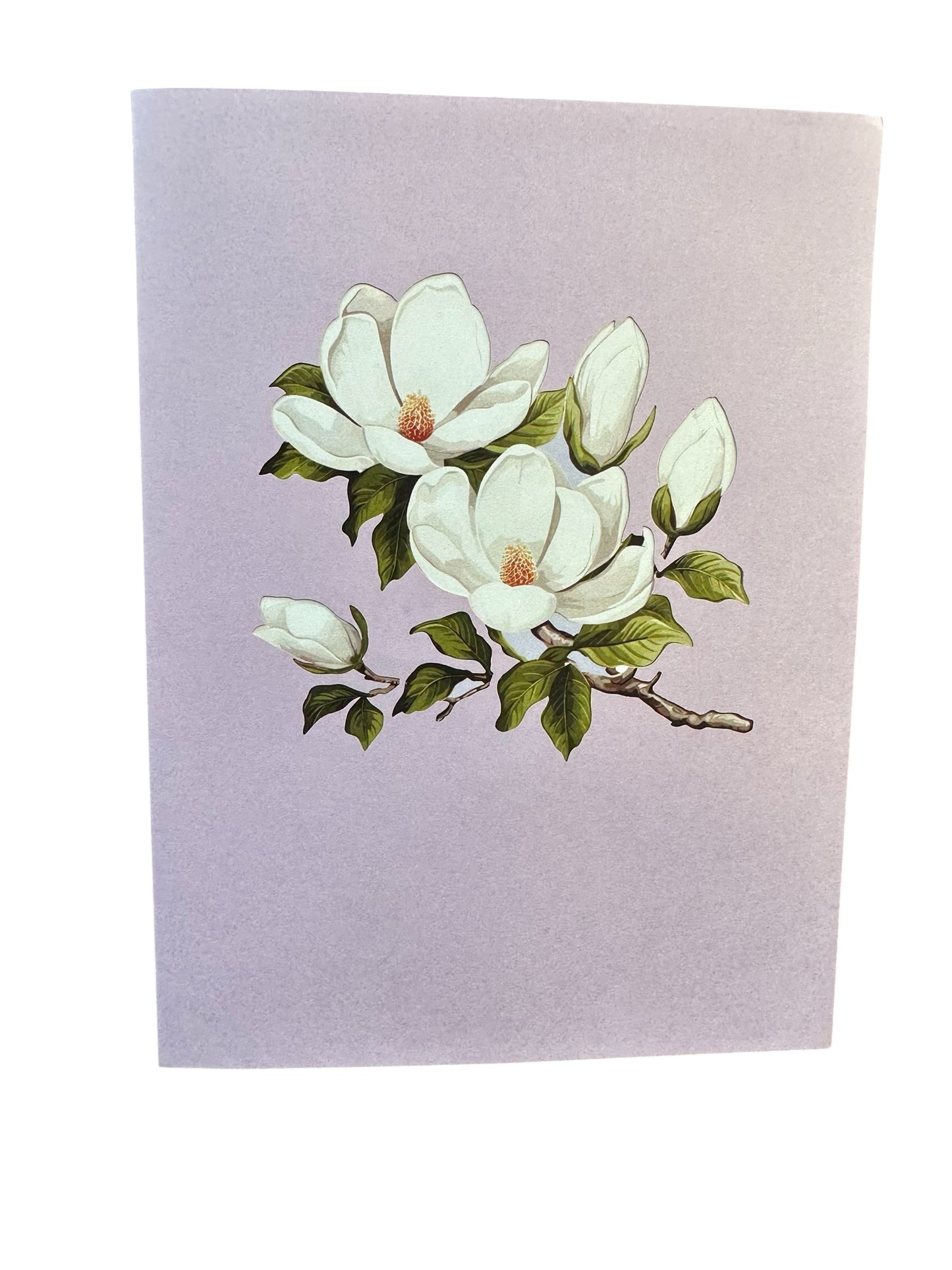Brisk Magnolia Flowers Pop Up Card
