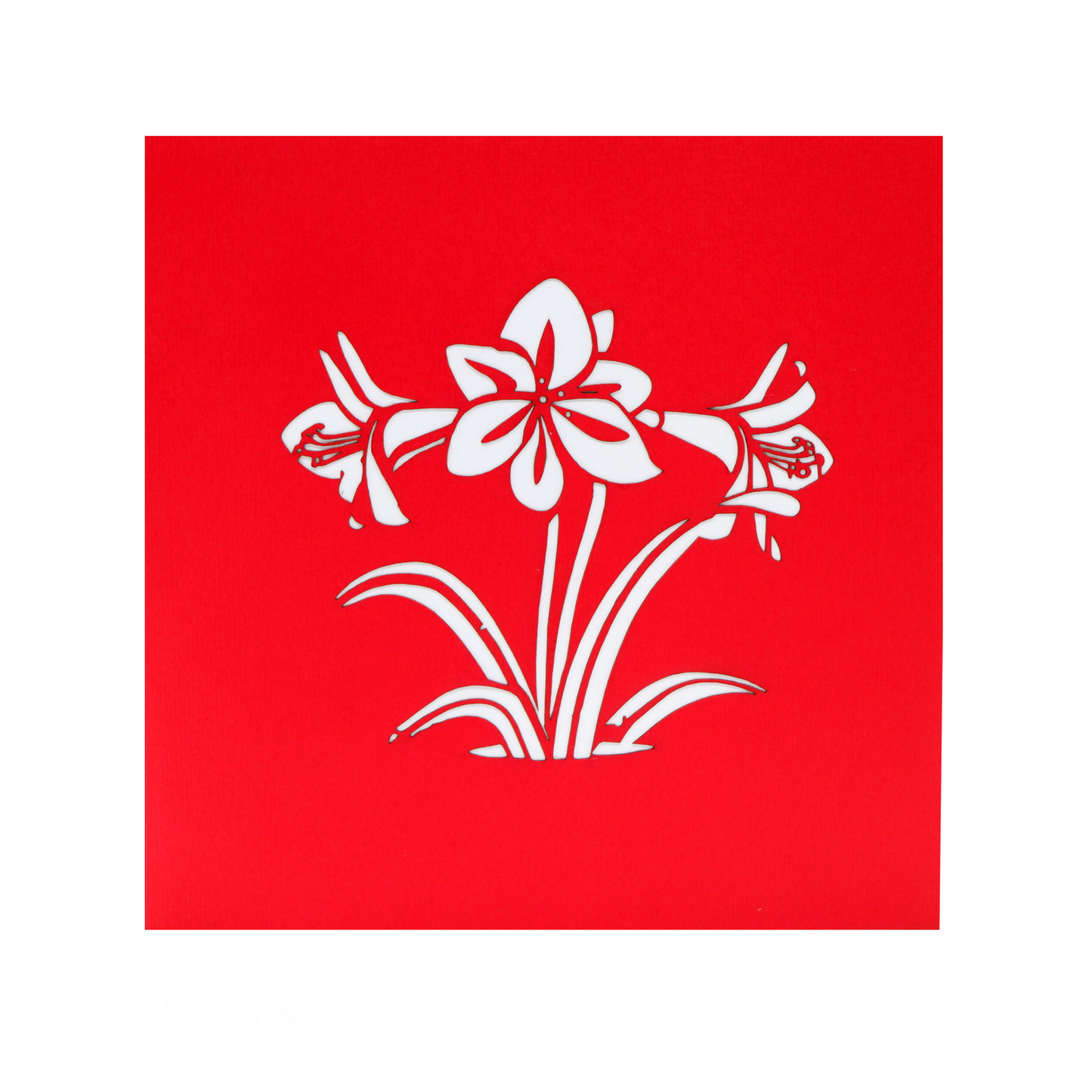 Red Amaryllis Pop Up Cards