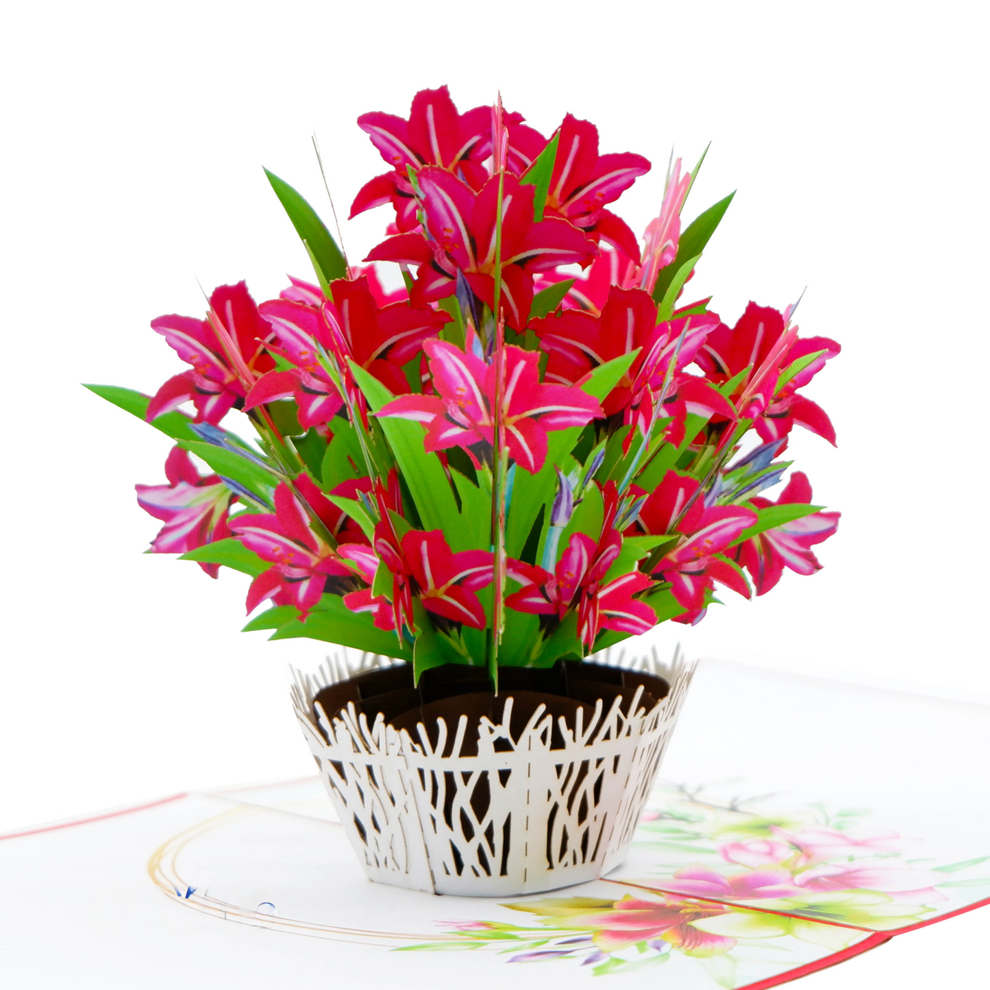 Red Amaryllis Pop Up Cards