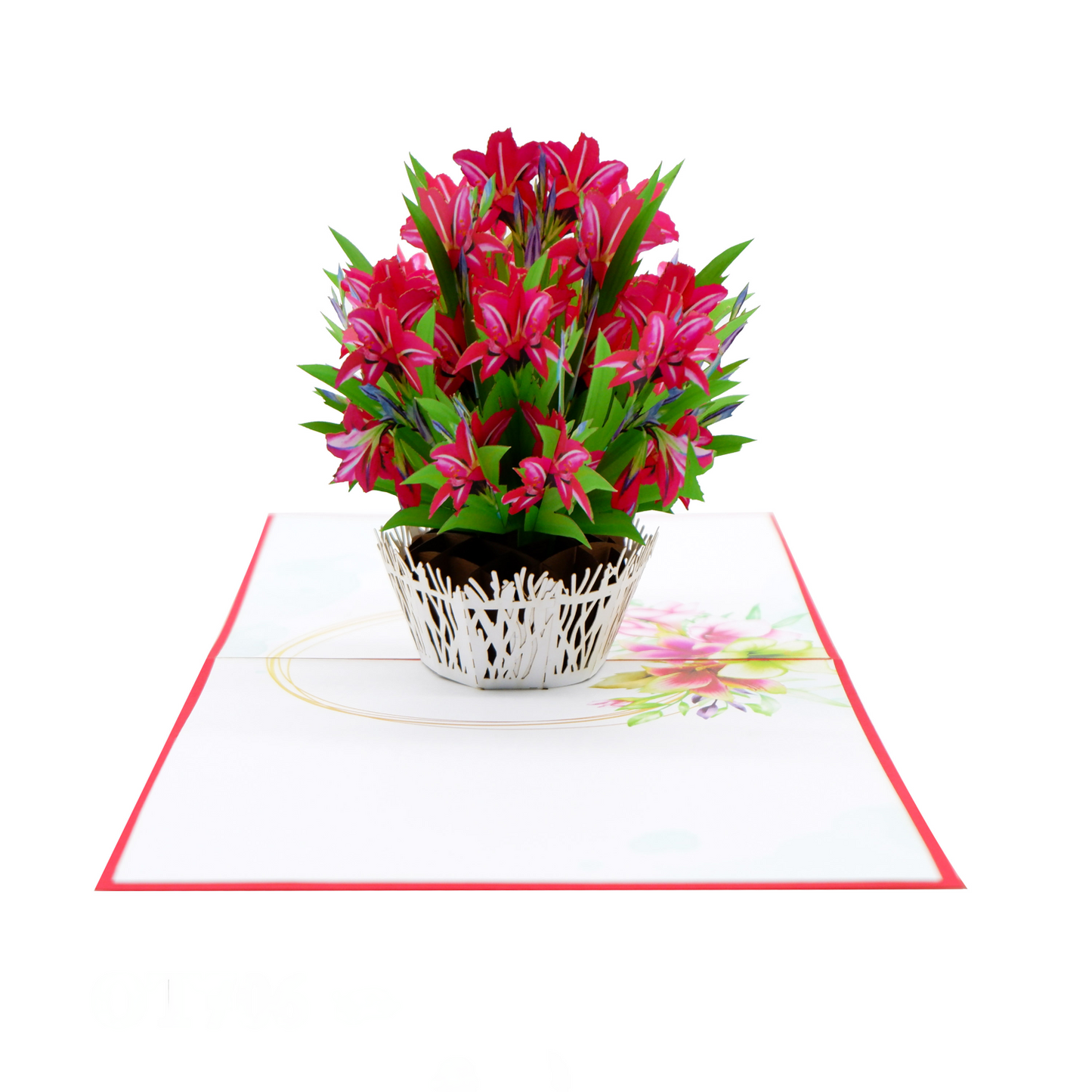 Red Amaryllis Pop Up Cards