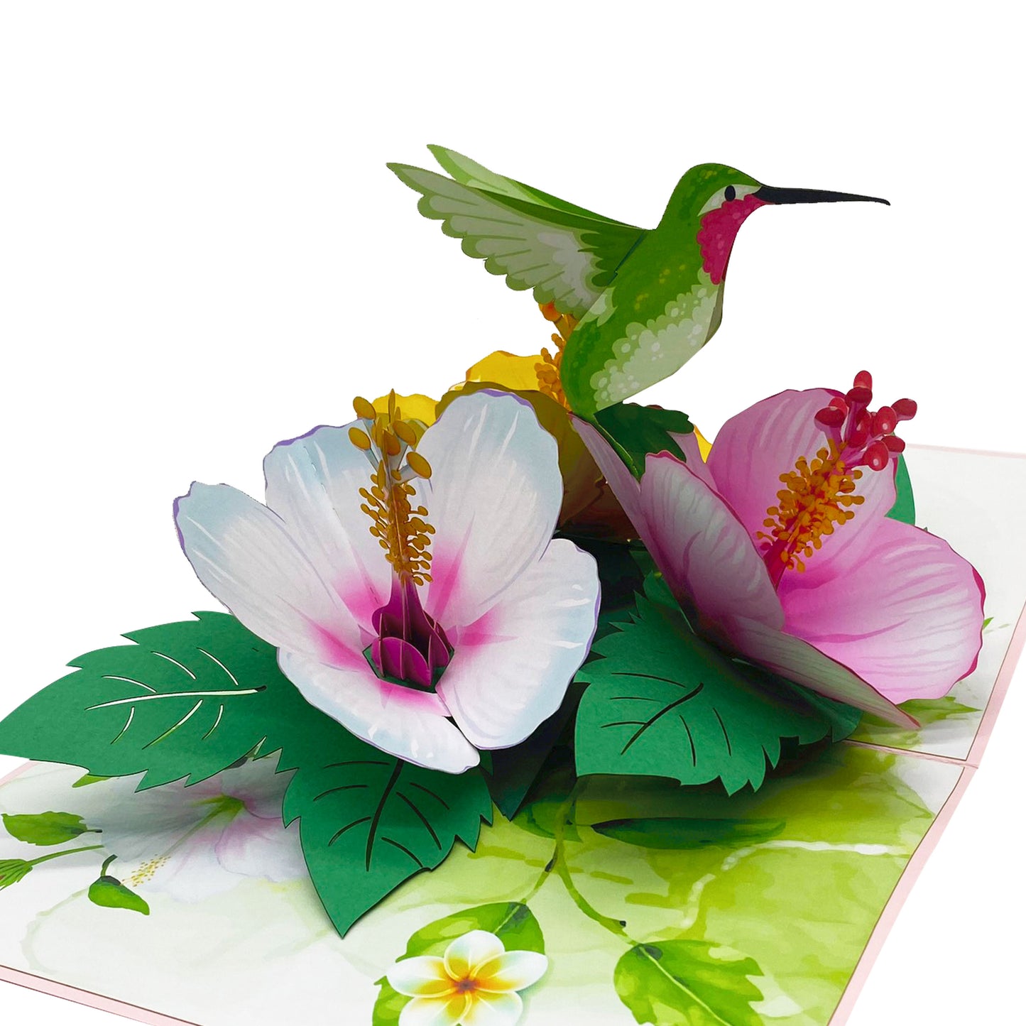 Green Hummingbird & Hibicus Pop Up Card