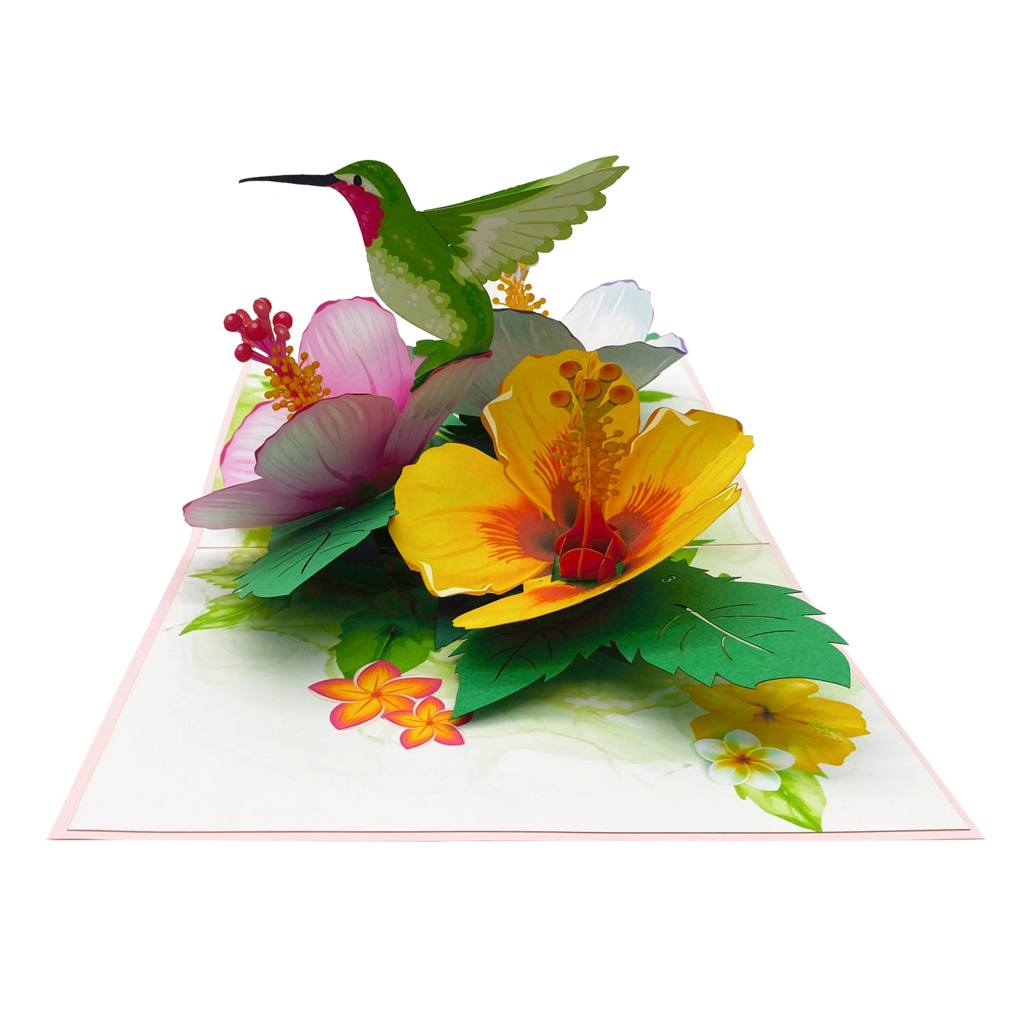 Green Hummingbird & Hibicus Pop Up Card