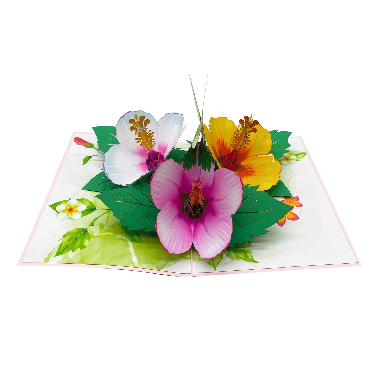 Green Hummingbird & Hibicus Pop Up Card