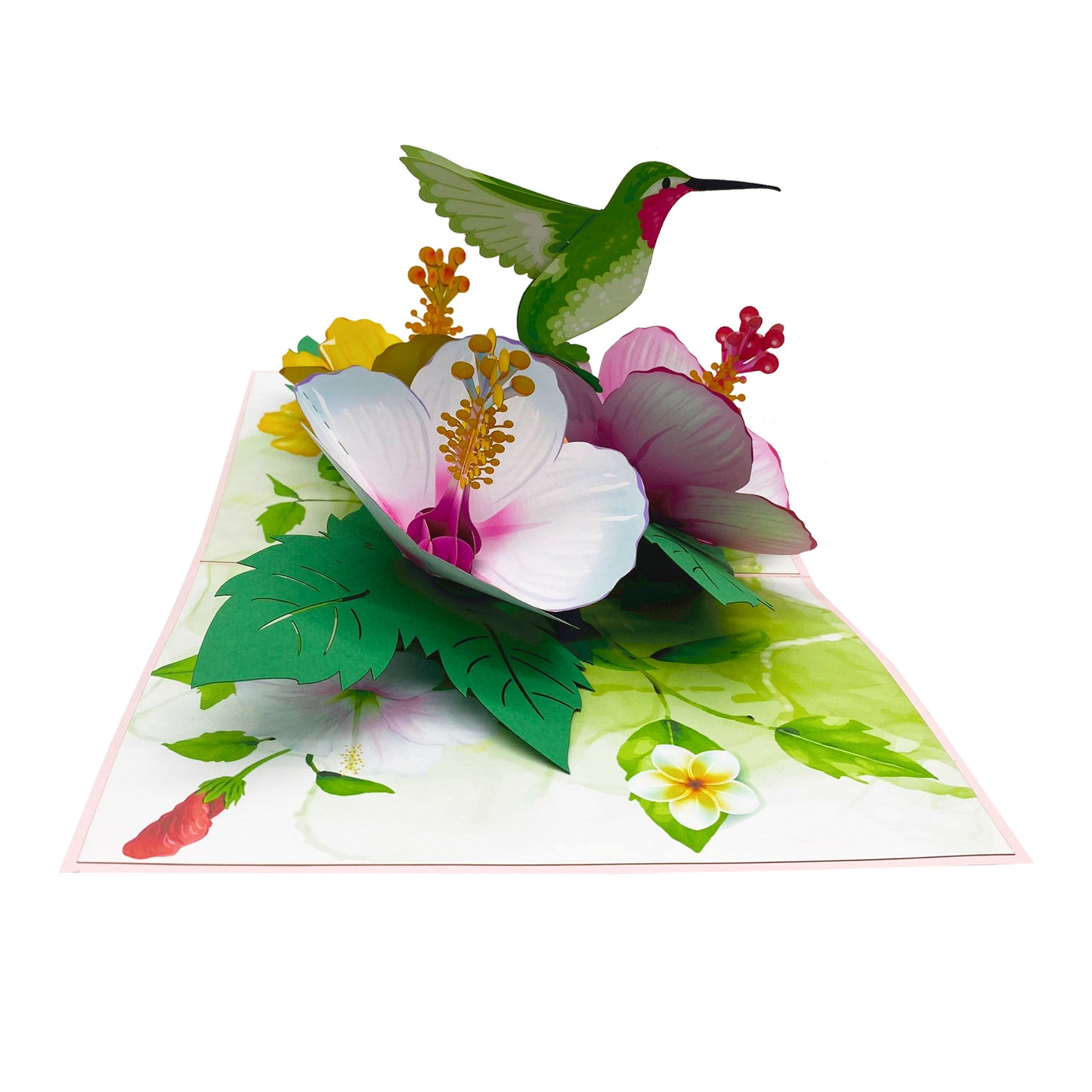 Green Hummingbird & Hibicus Pop Up Card