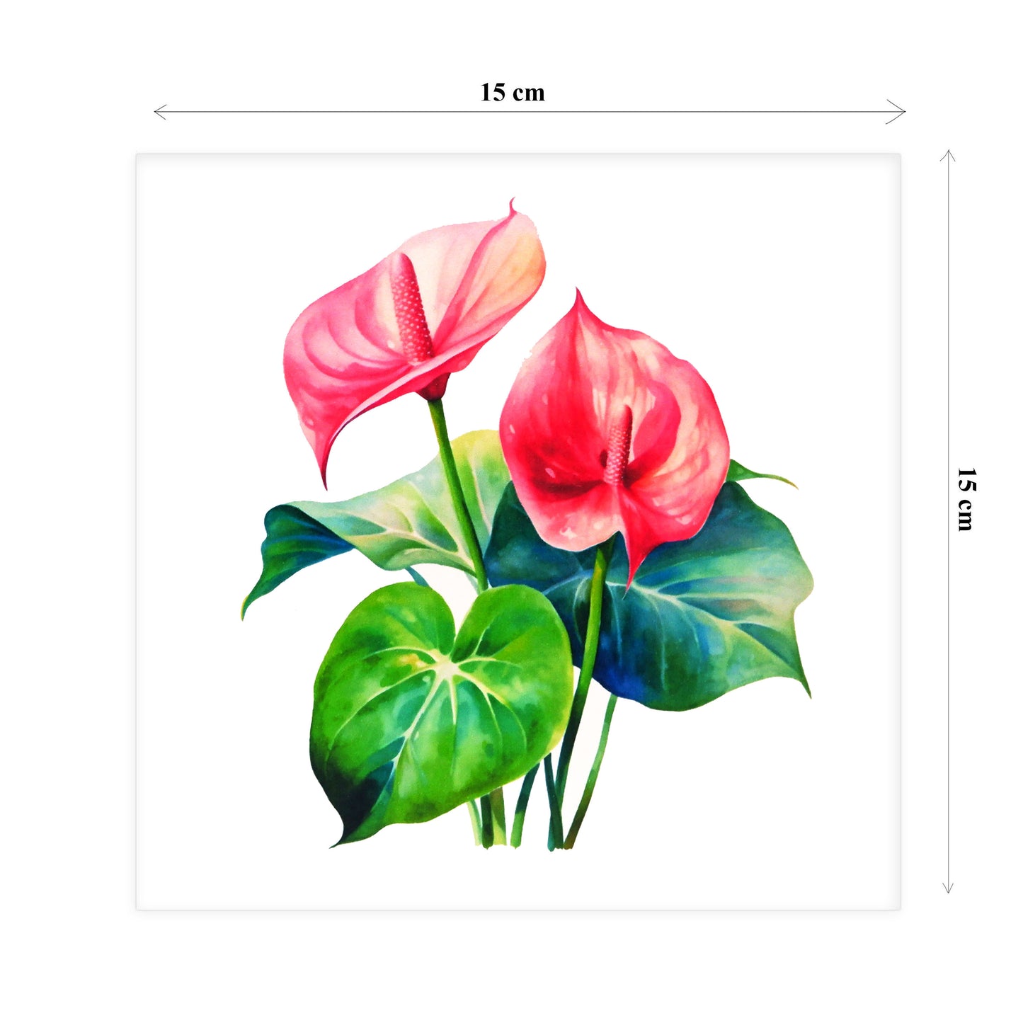 Anthurium Andraeanum Pop Up Greeting Card