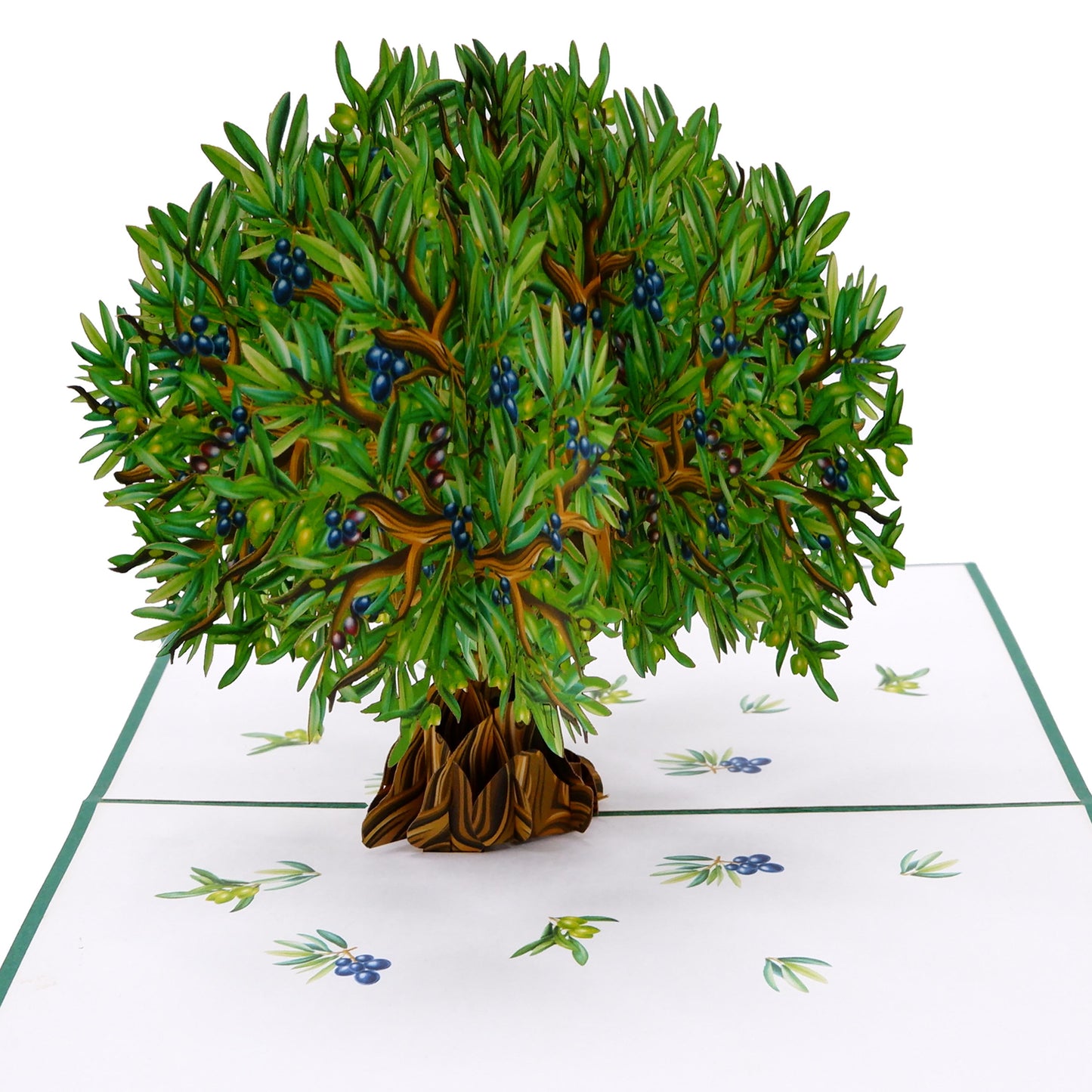 Olive Tree Pop Up Card
