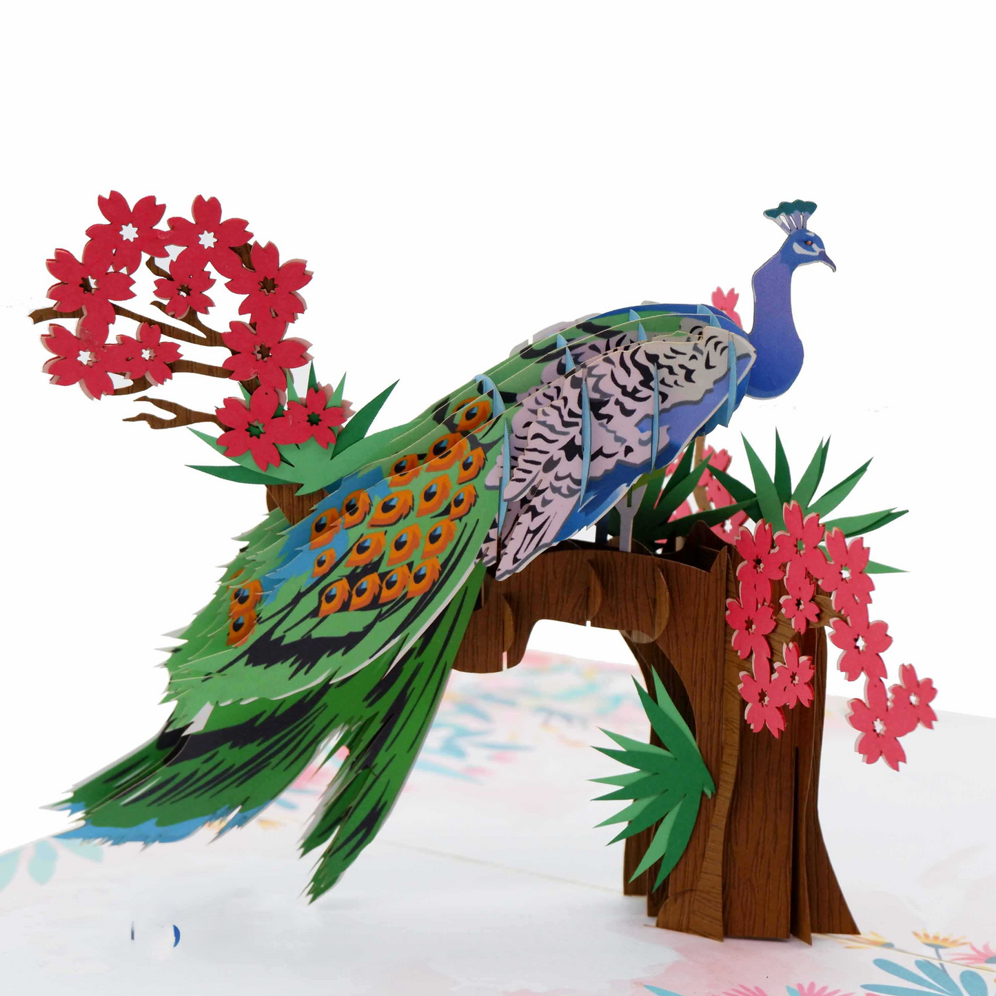 Peacock Pop Up Cards