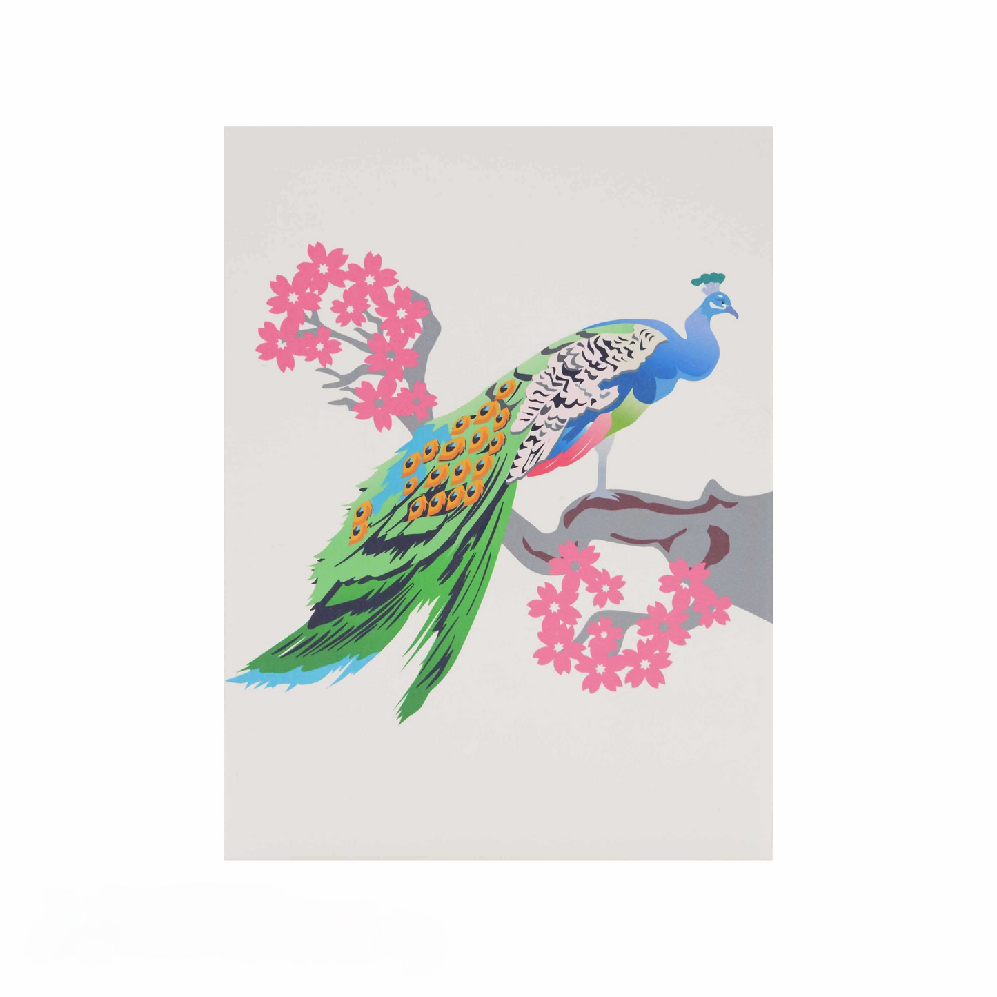 Peacock Pop Up Cards