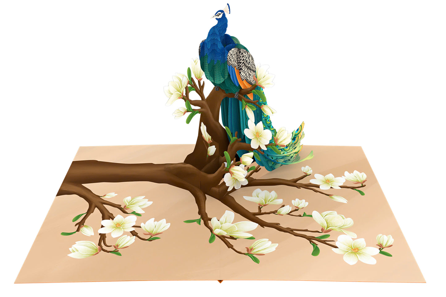 Peacock Magnolia Pop Up Cards