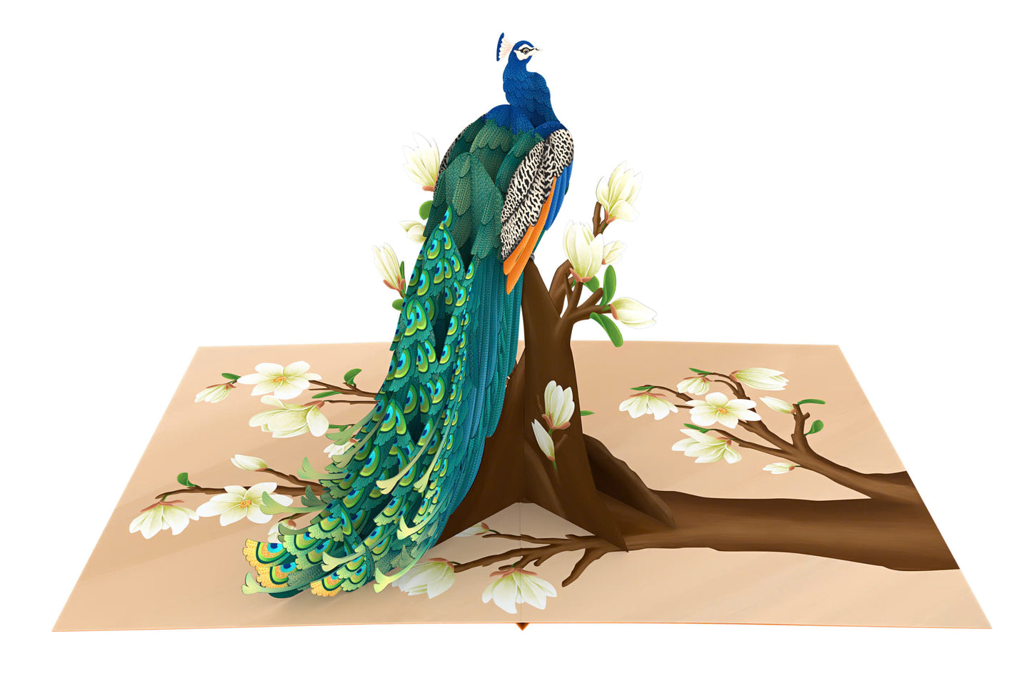 Peacock Magnolia Pop Up Cards