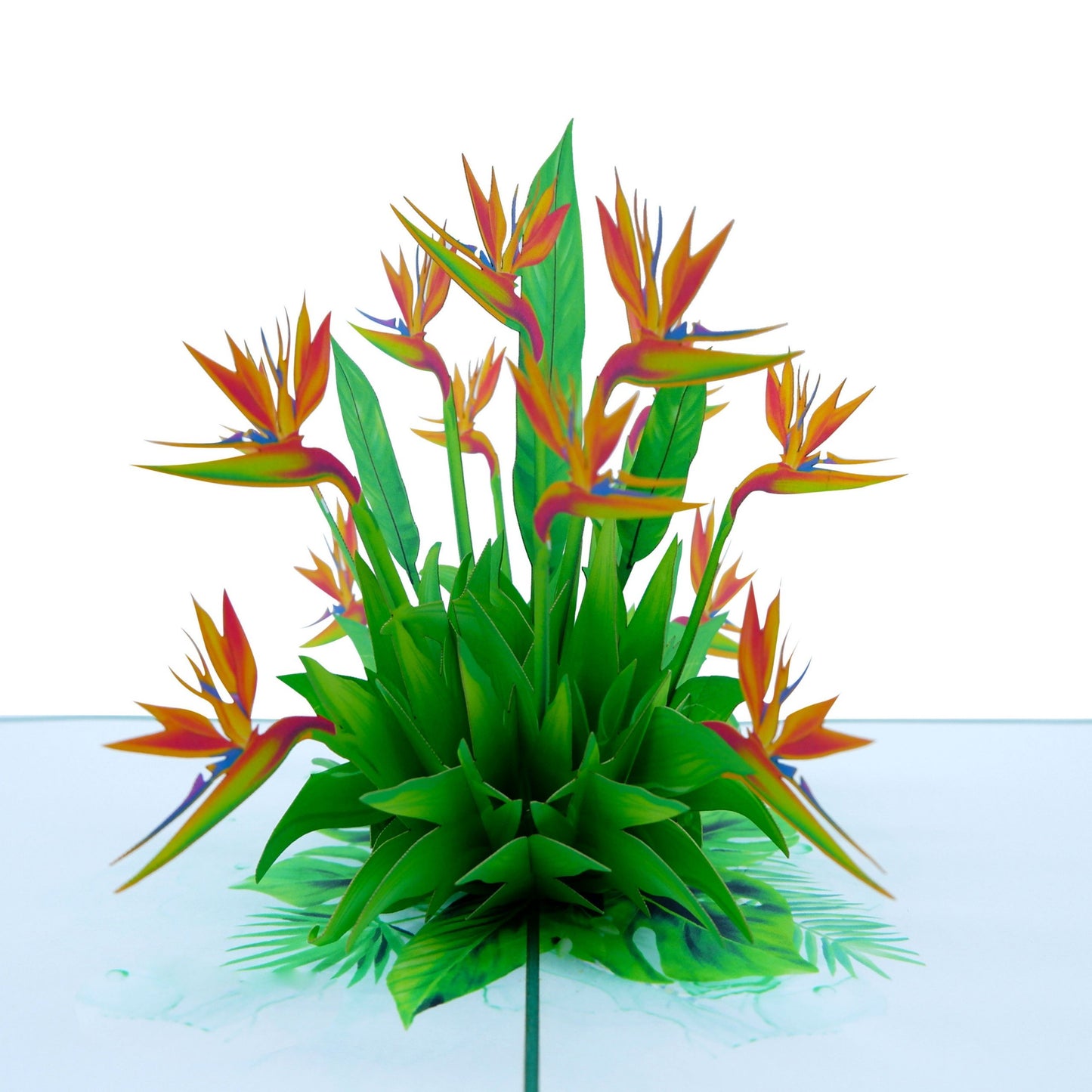 Bird Of Paradise Flowers Pop Up Card