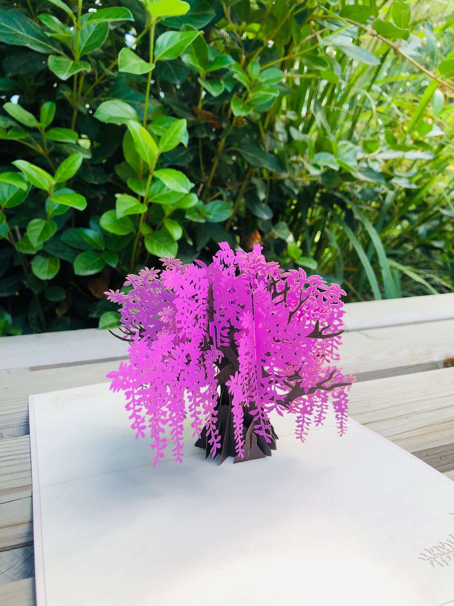 Wisteria tree Pop Up Cards