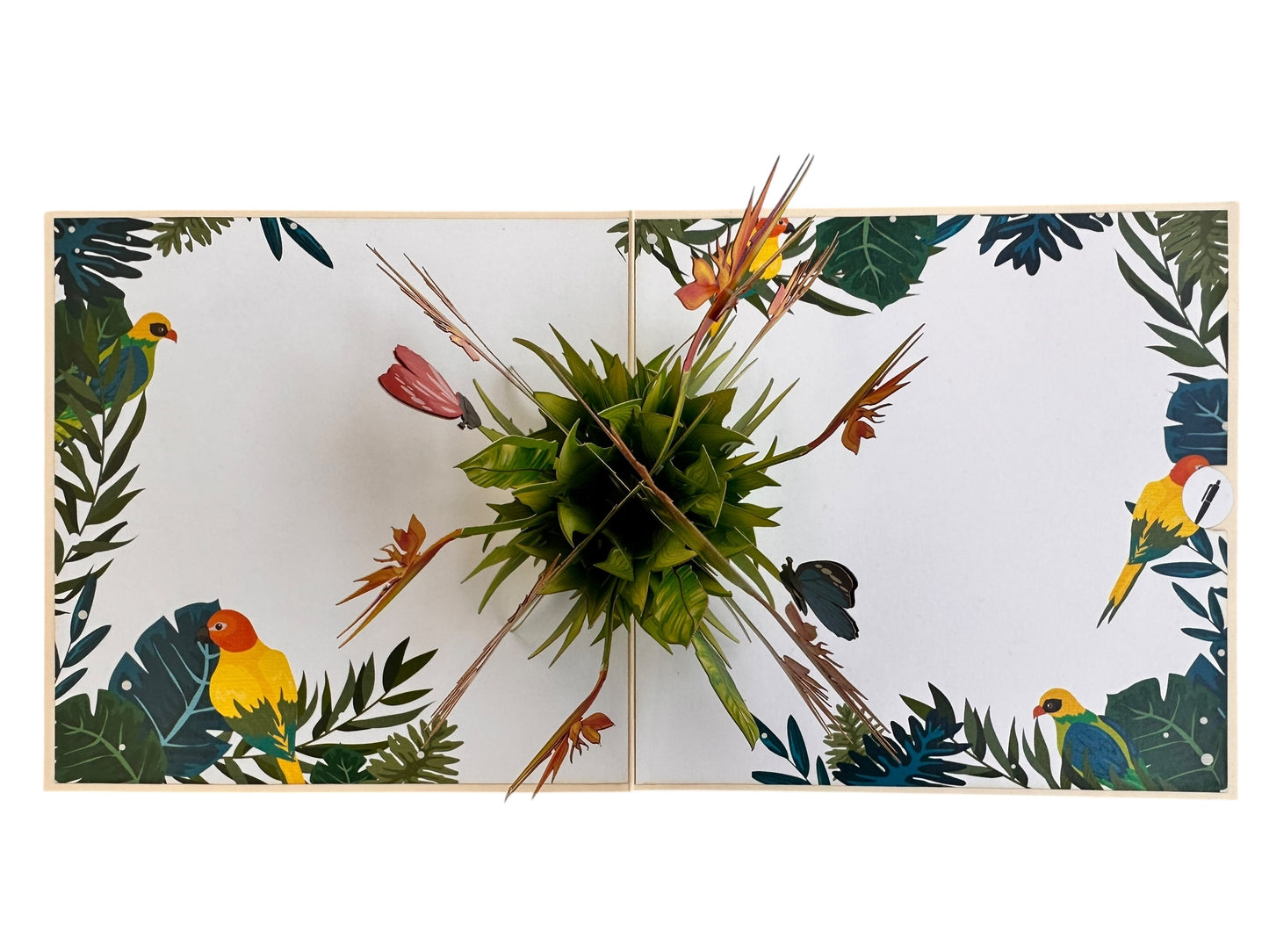 Bird Of Paradise Flowers Pop Up Card