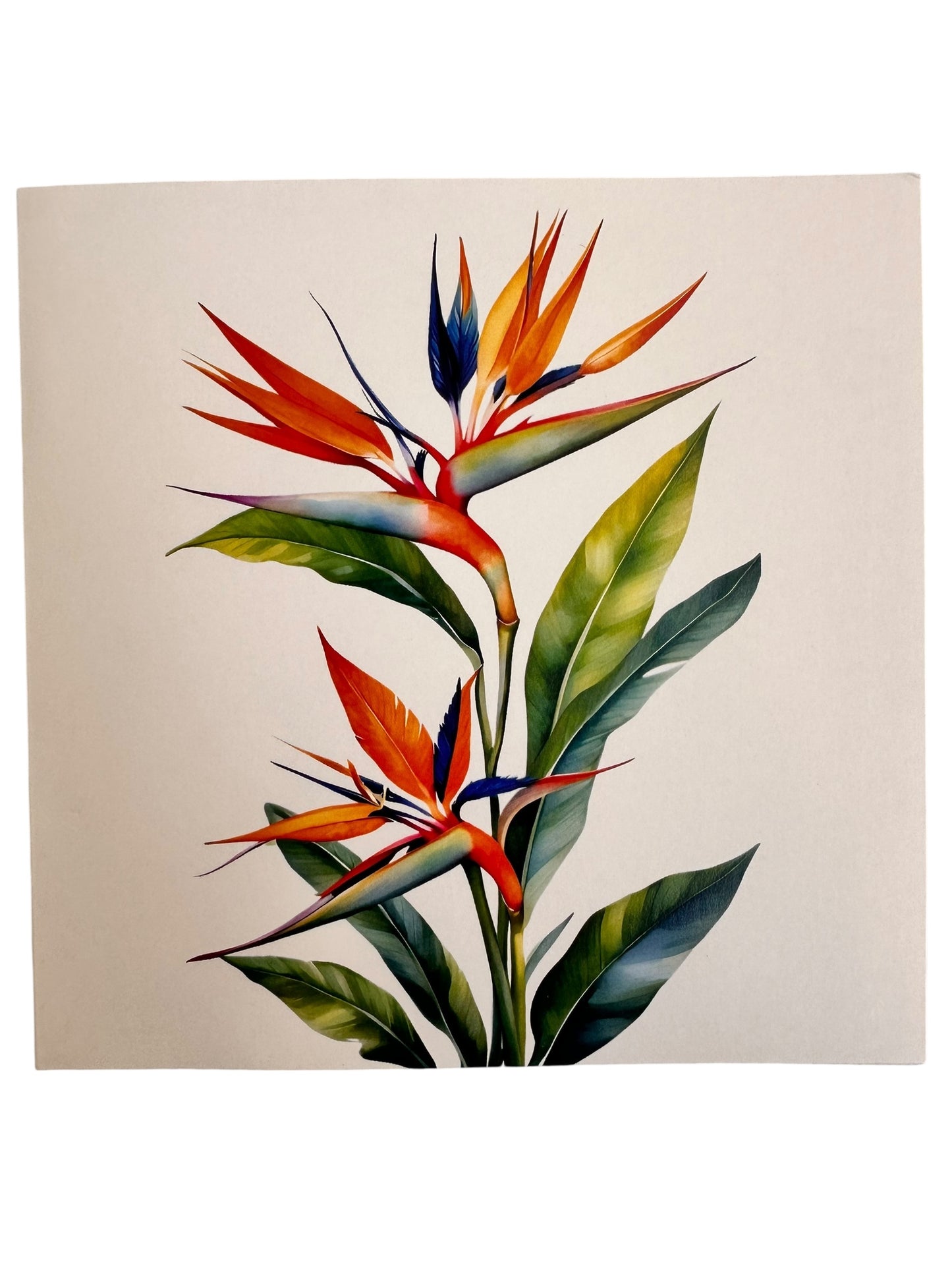 Bird Of Paradise Flowers Pop Up Card