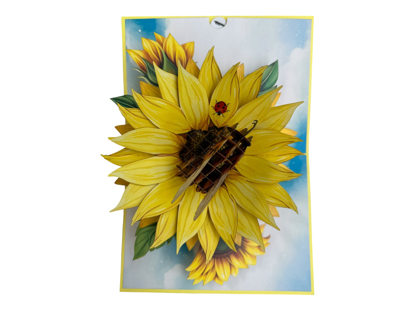 Bee Sunflower Flowers Pop Up Card