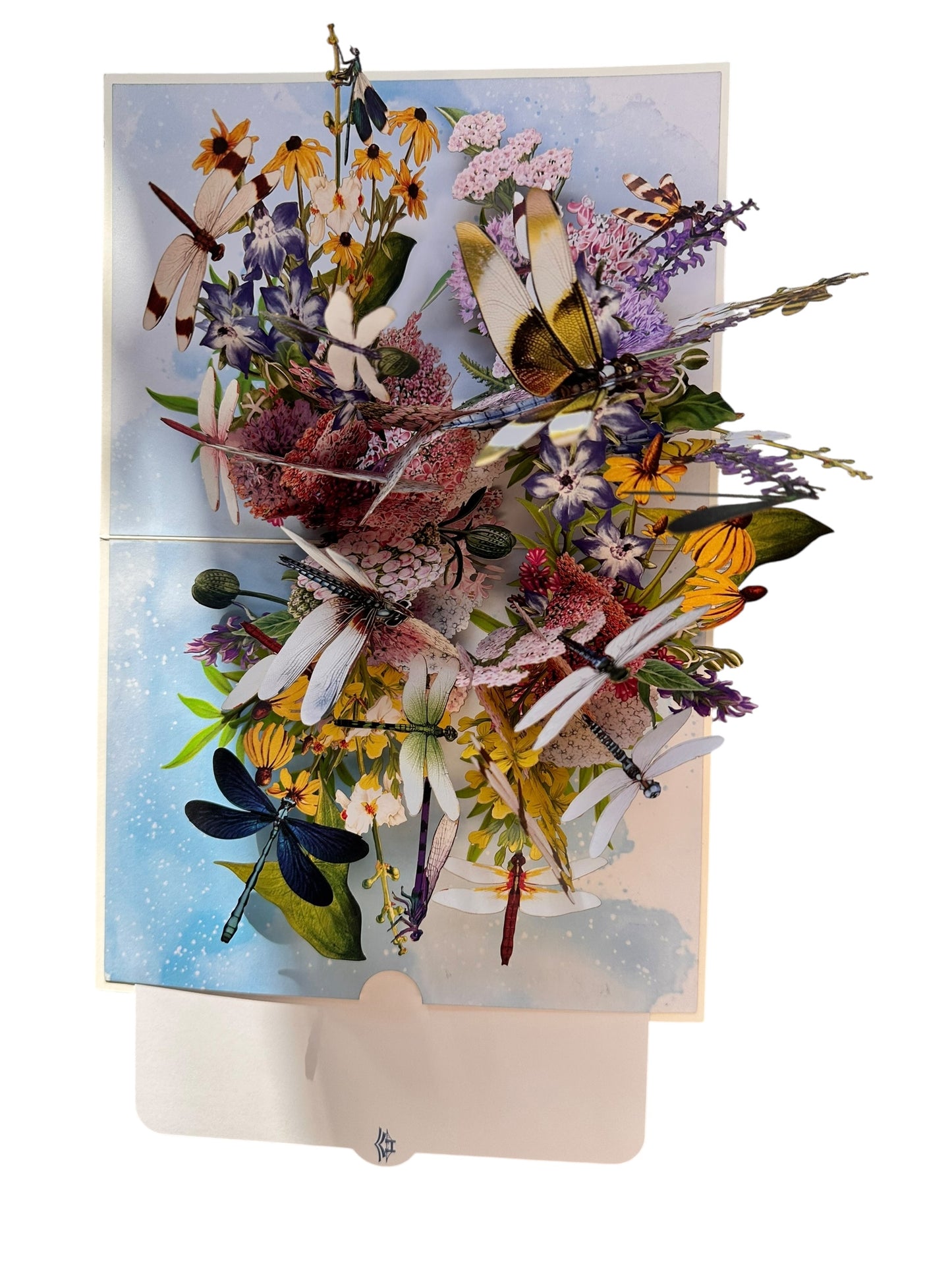 Dragonfly pop up card