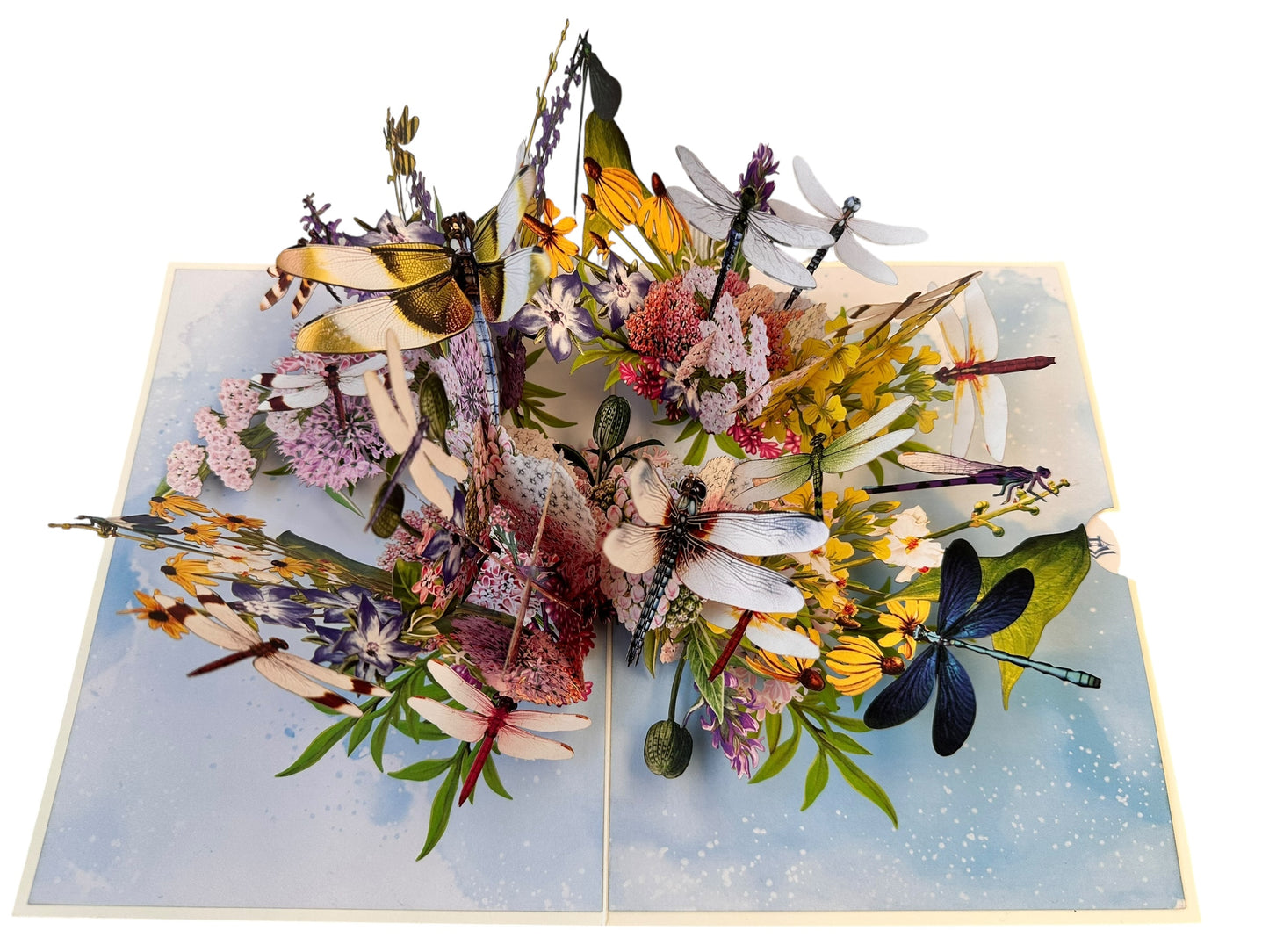 Dragonfly pop up card