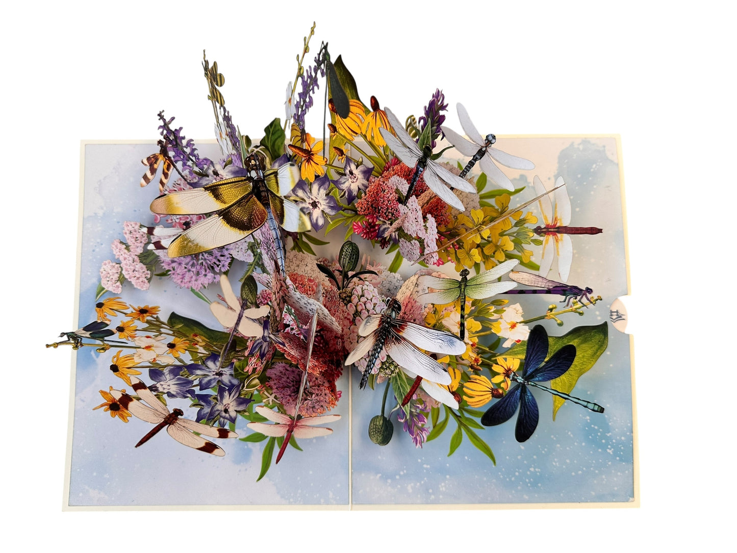 Dragonfly pop up card