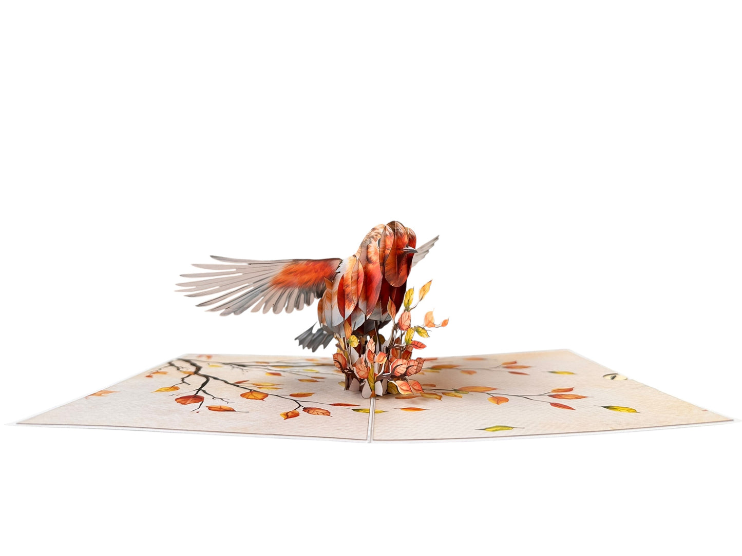 Robin  Pop Up Card