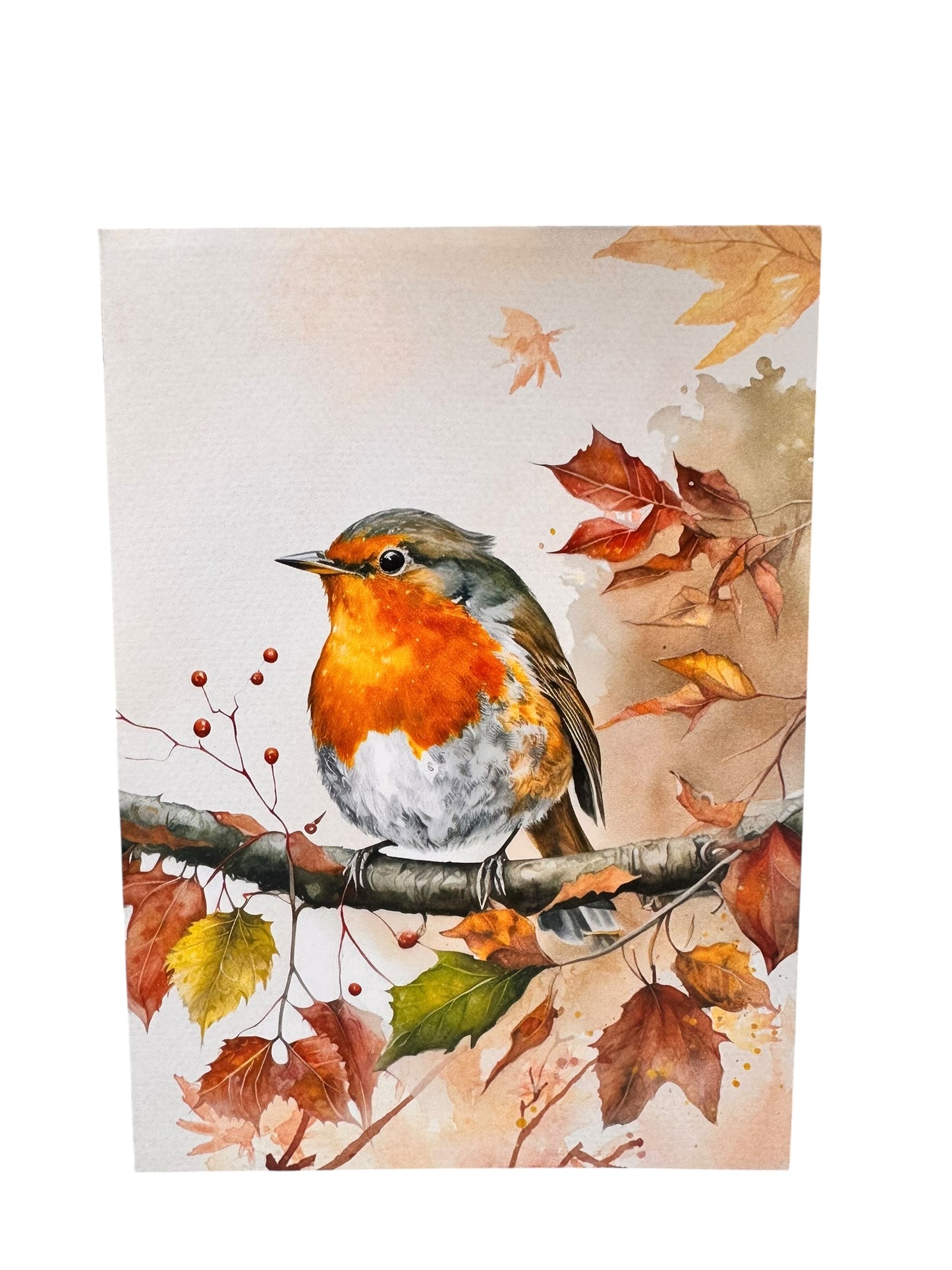 Robin  Pop Up Card