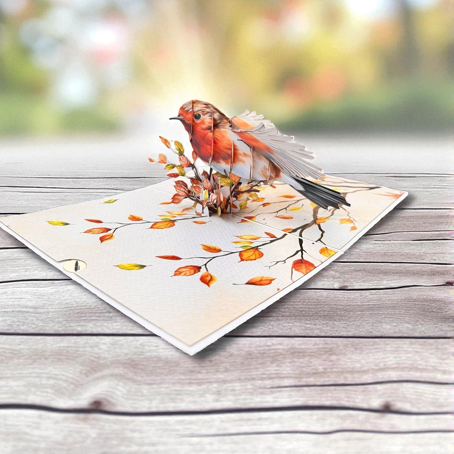 Robin  Pop Up Card