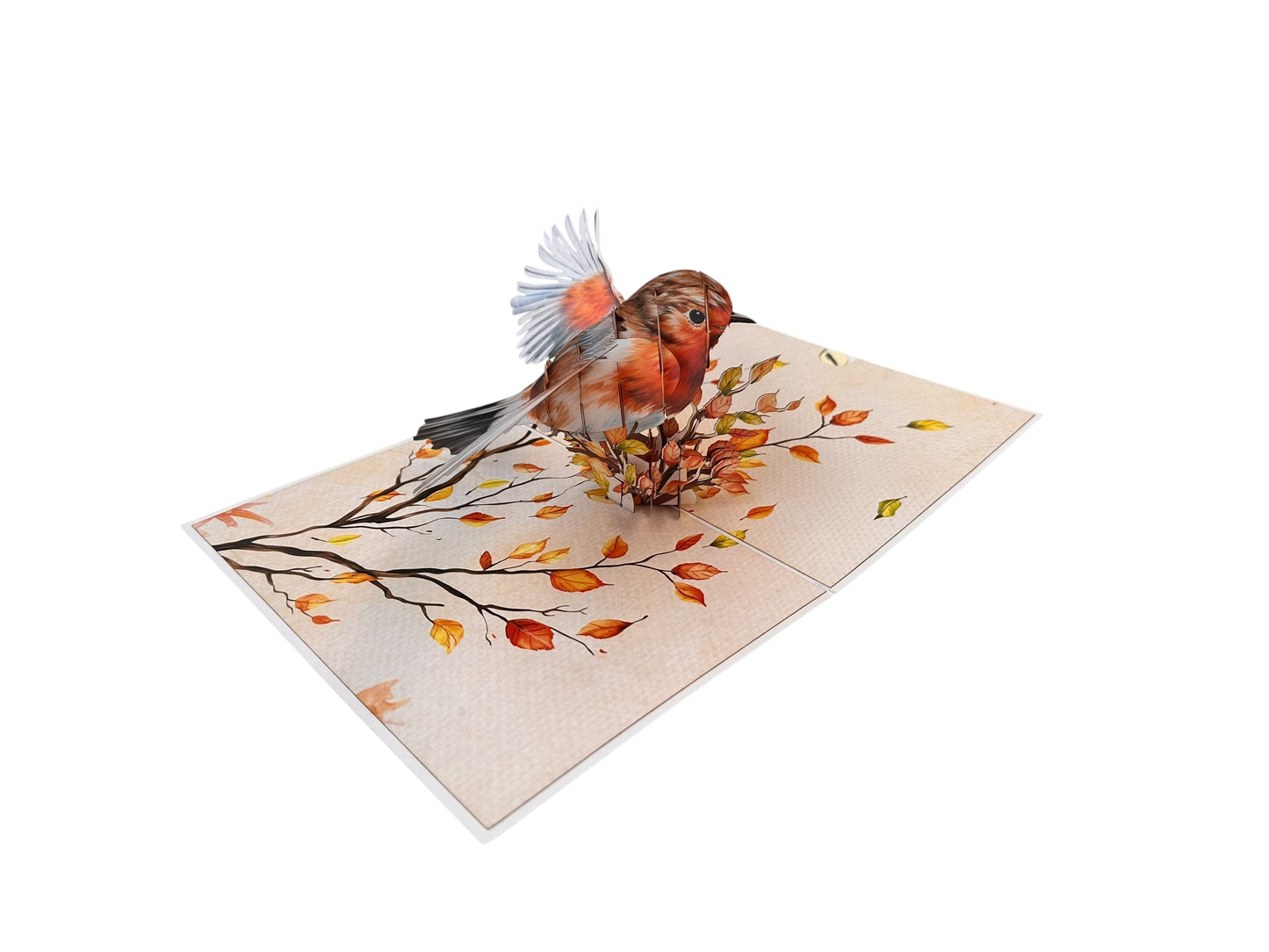 Robin  Pop Up Card
