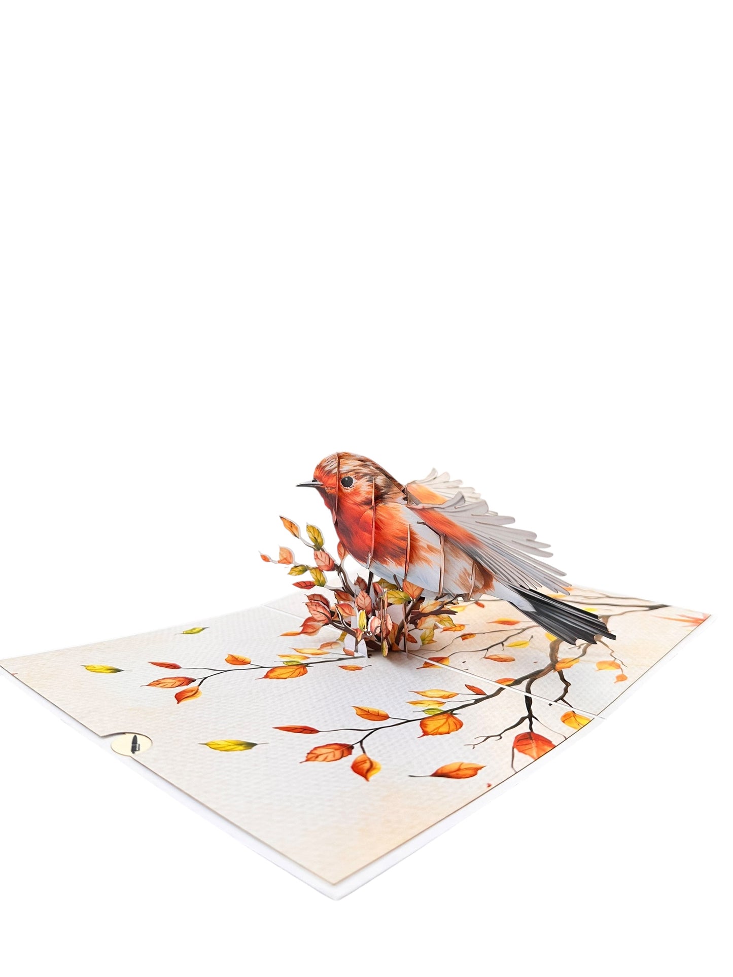 Robin  Pop Up Card