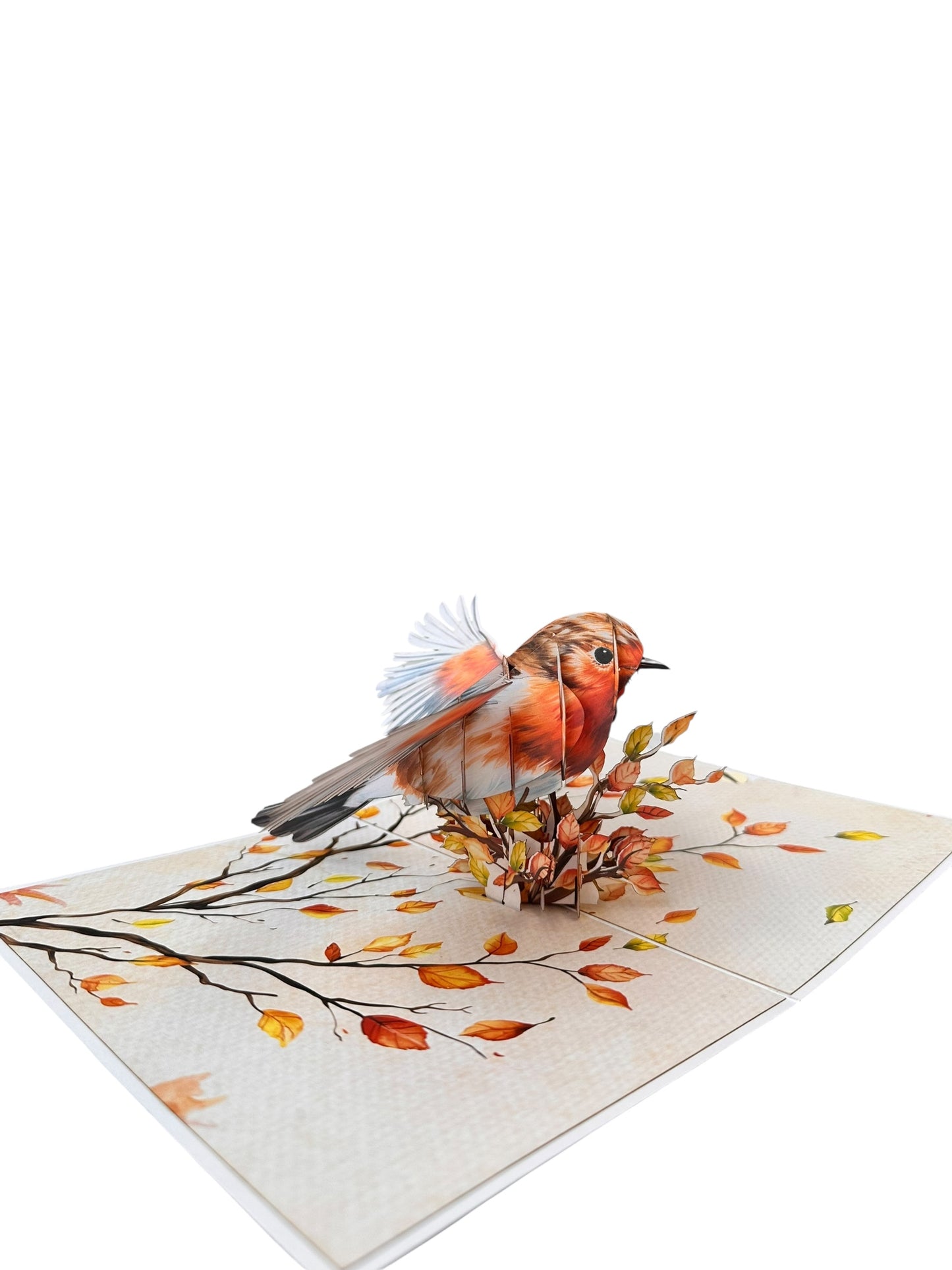 Robin  Pop Up Card