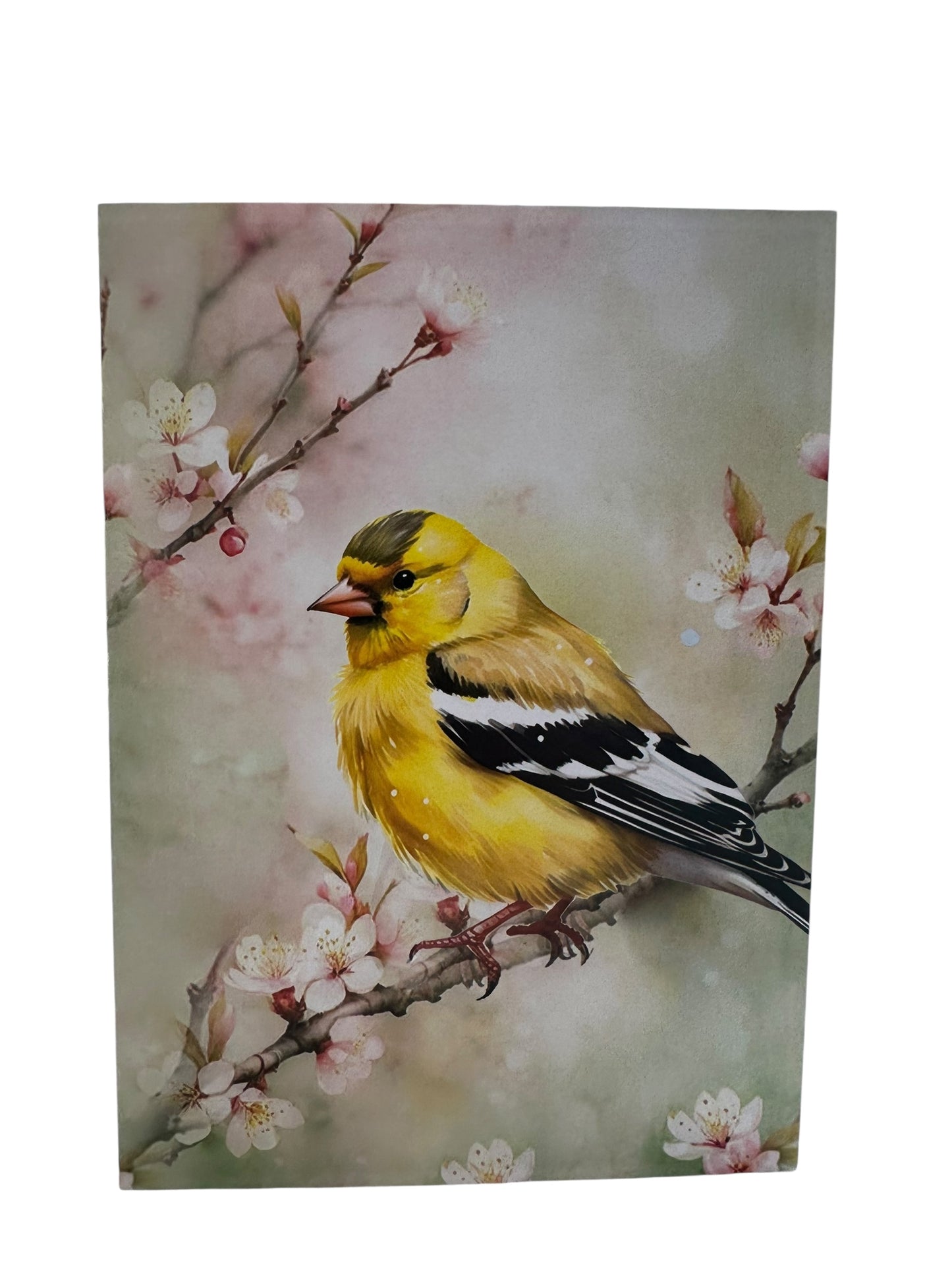 American Goldfinch  Pop Up Card