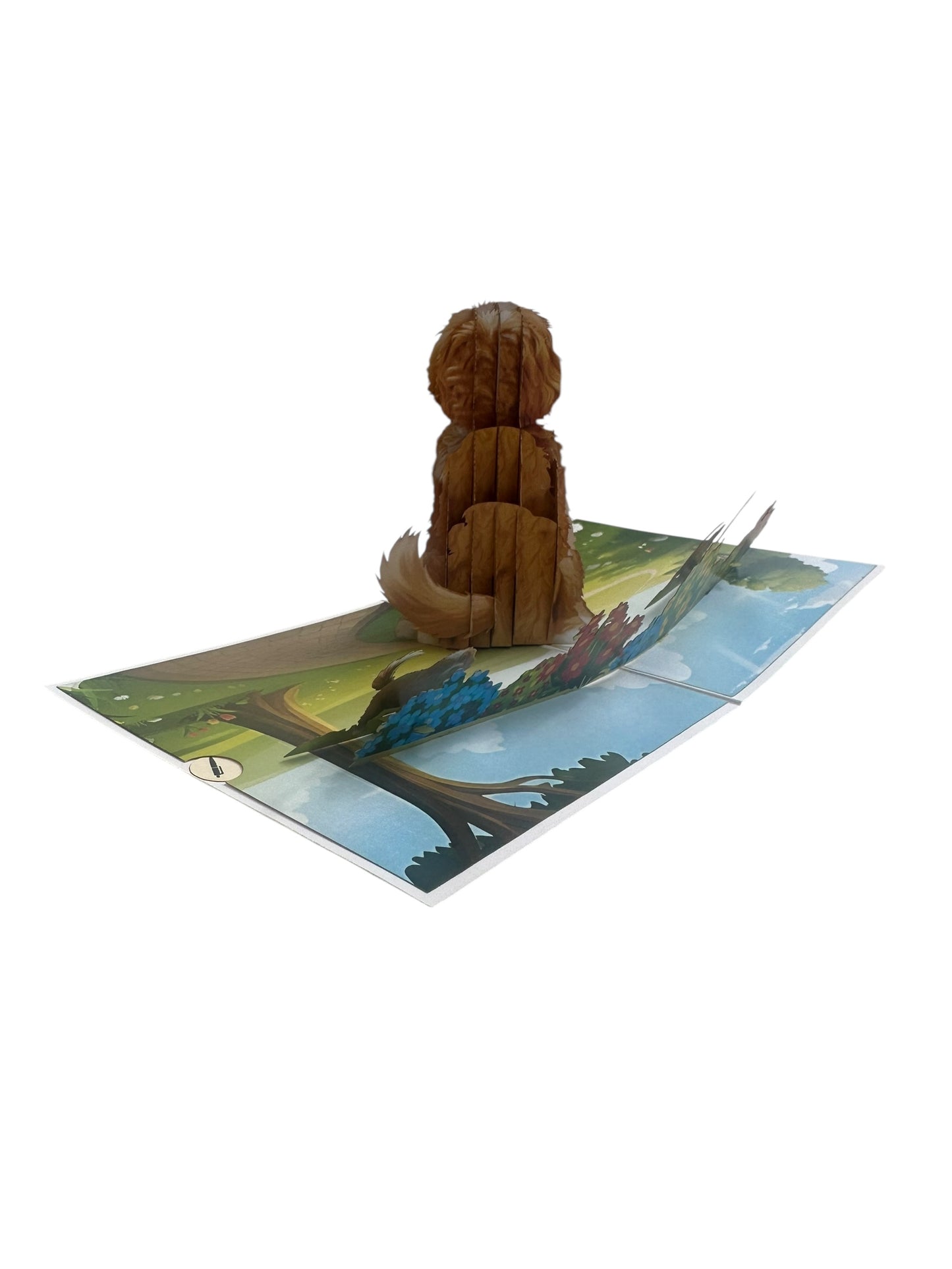 Cocker Spaniels Pop Up Card