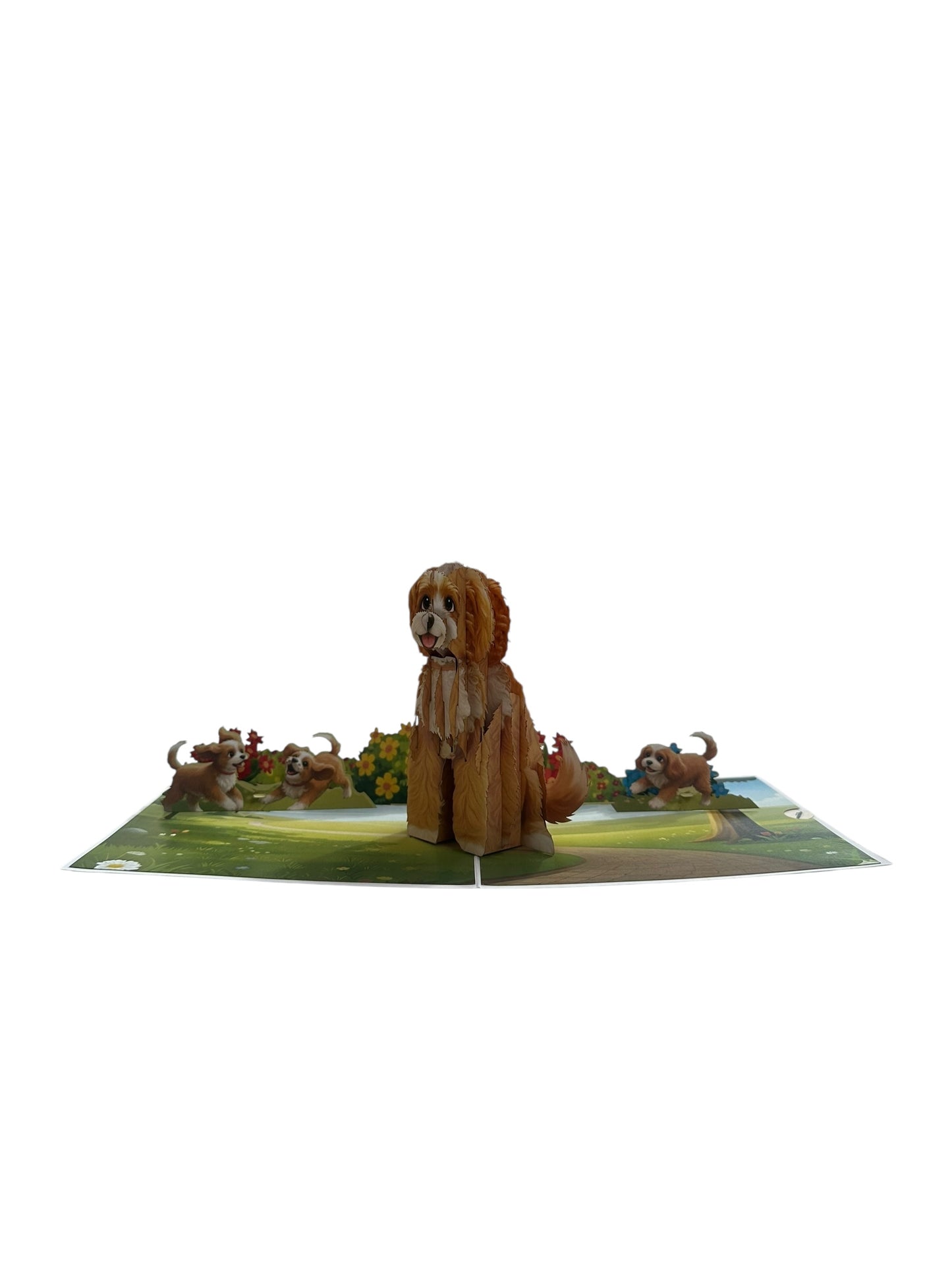 Cocker Spaniels Pop Up Card