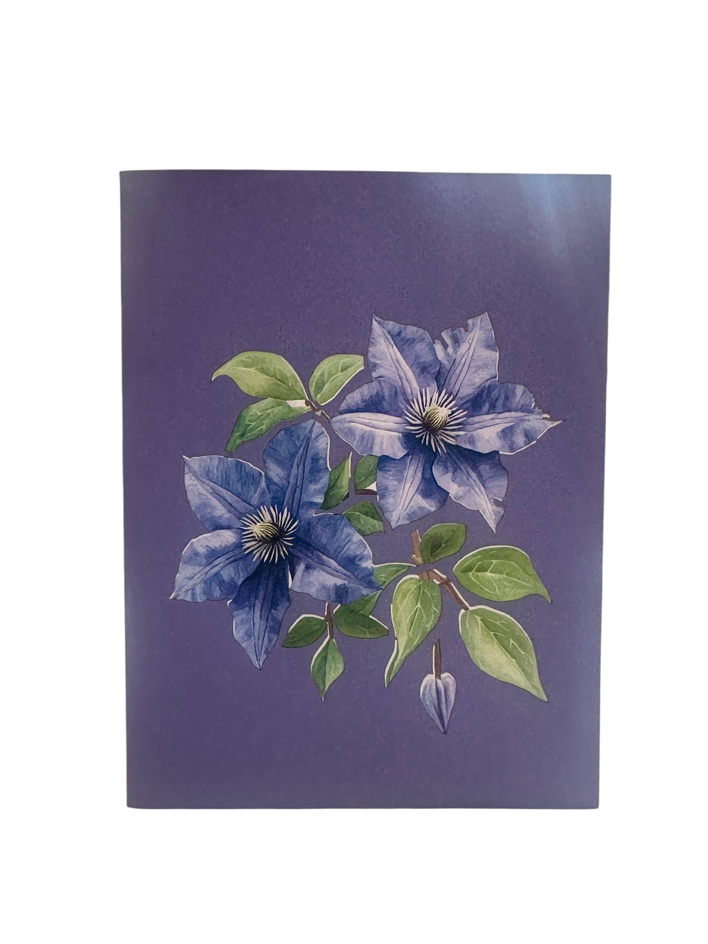 Clematis Garden Pop Up Card
