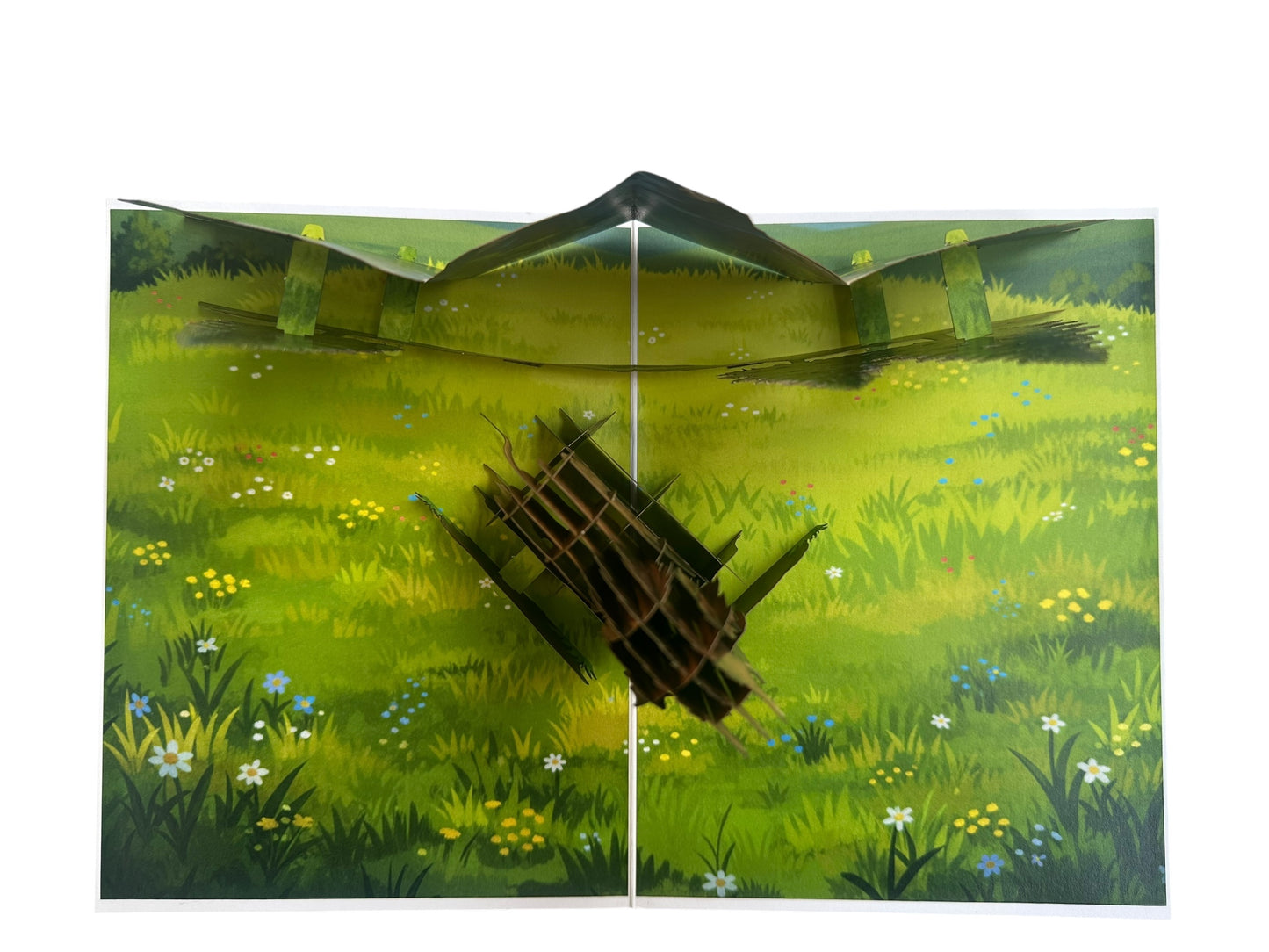 Keep Calm and Roar  Pop Up Card