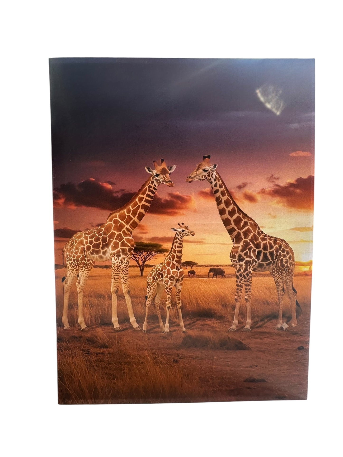 Giraffe Pop Up Card