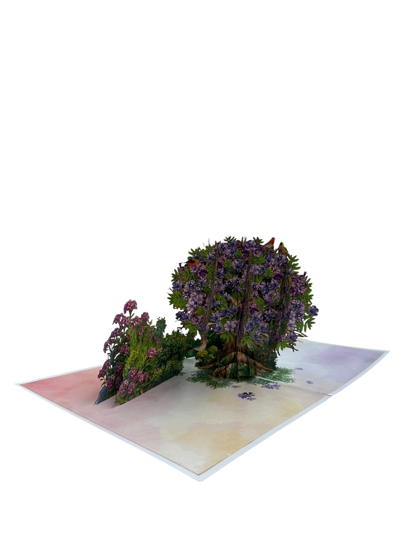Jacaranda Tree Pop Up Card