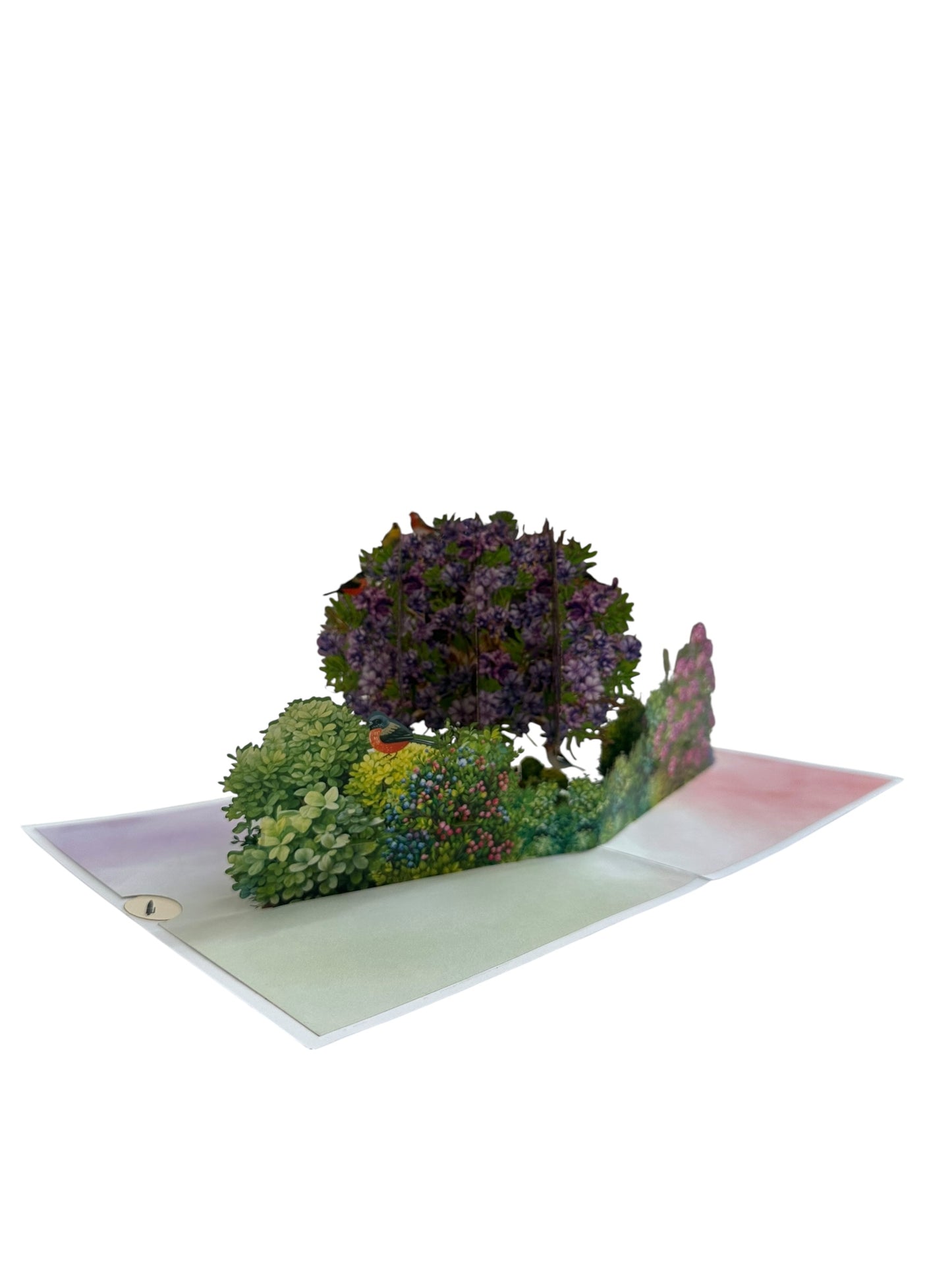 Jacaranda Tree Pop Up Card