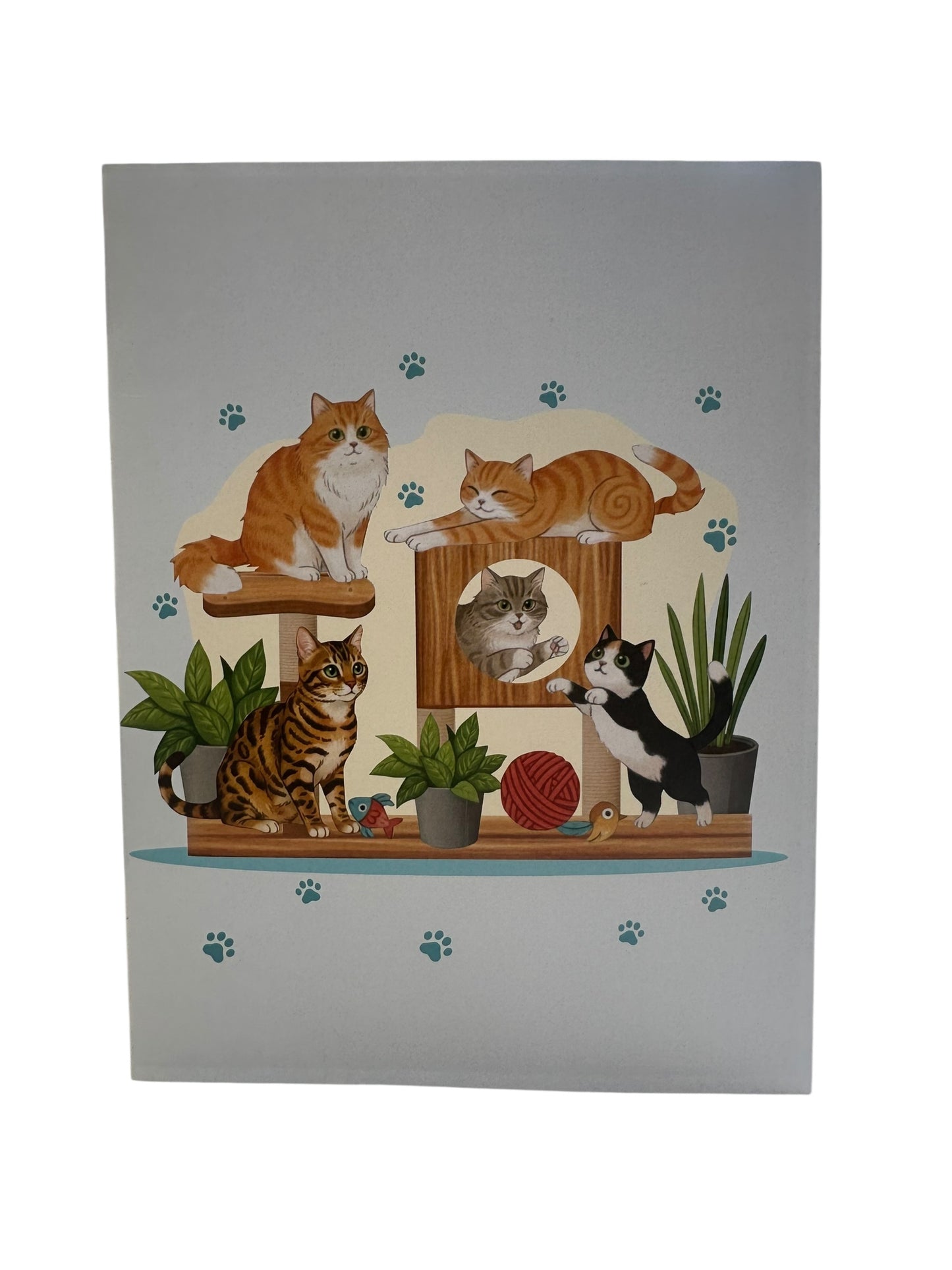 Cat House  Pop Up Card