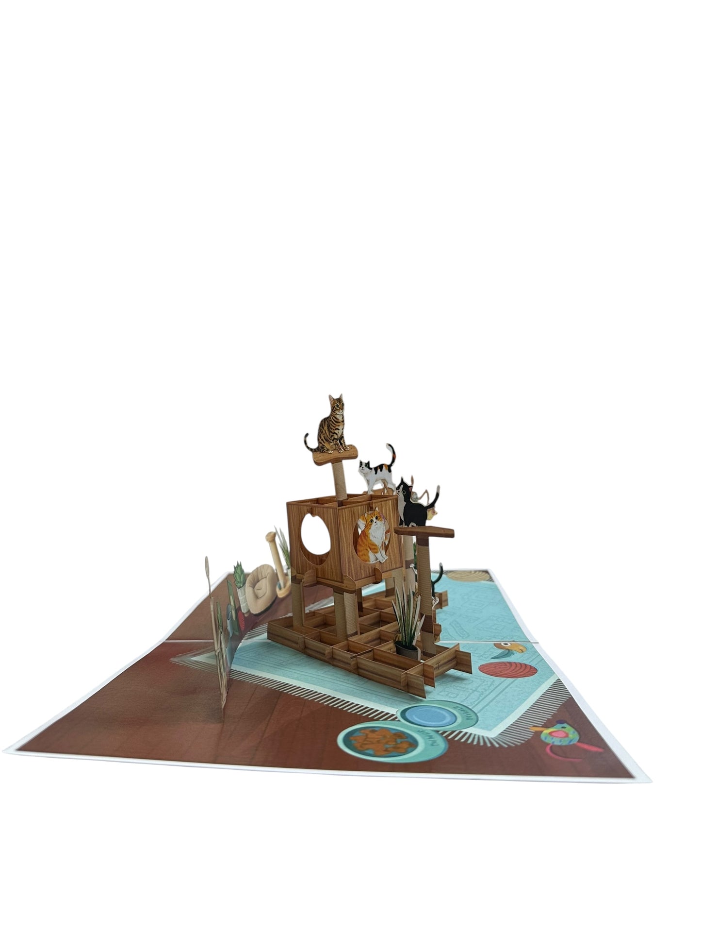 Cat House  Pop Up Card