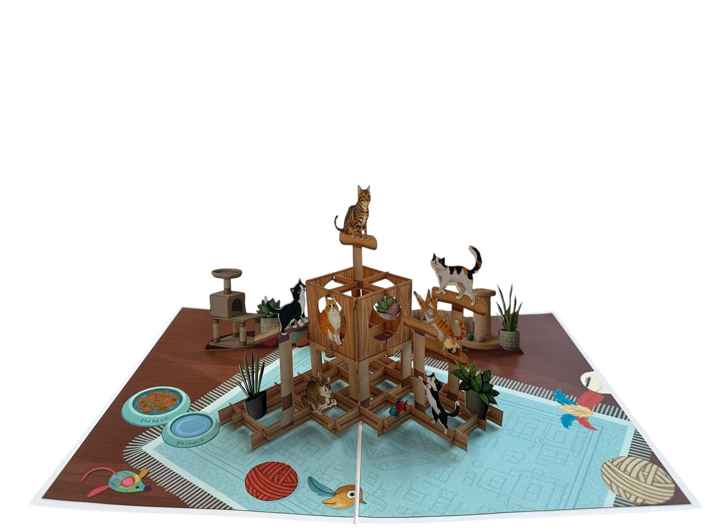 Cat House  Pop Up Card