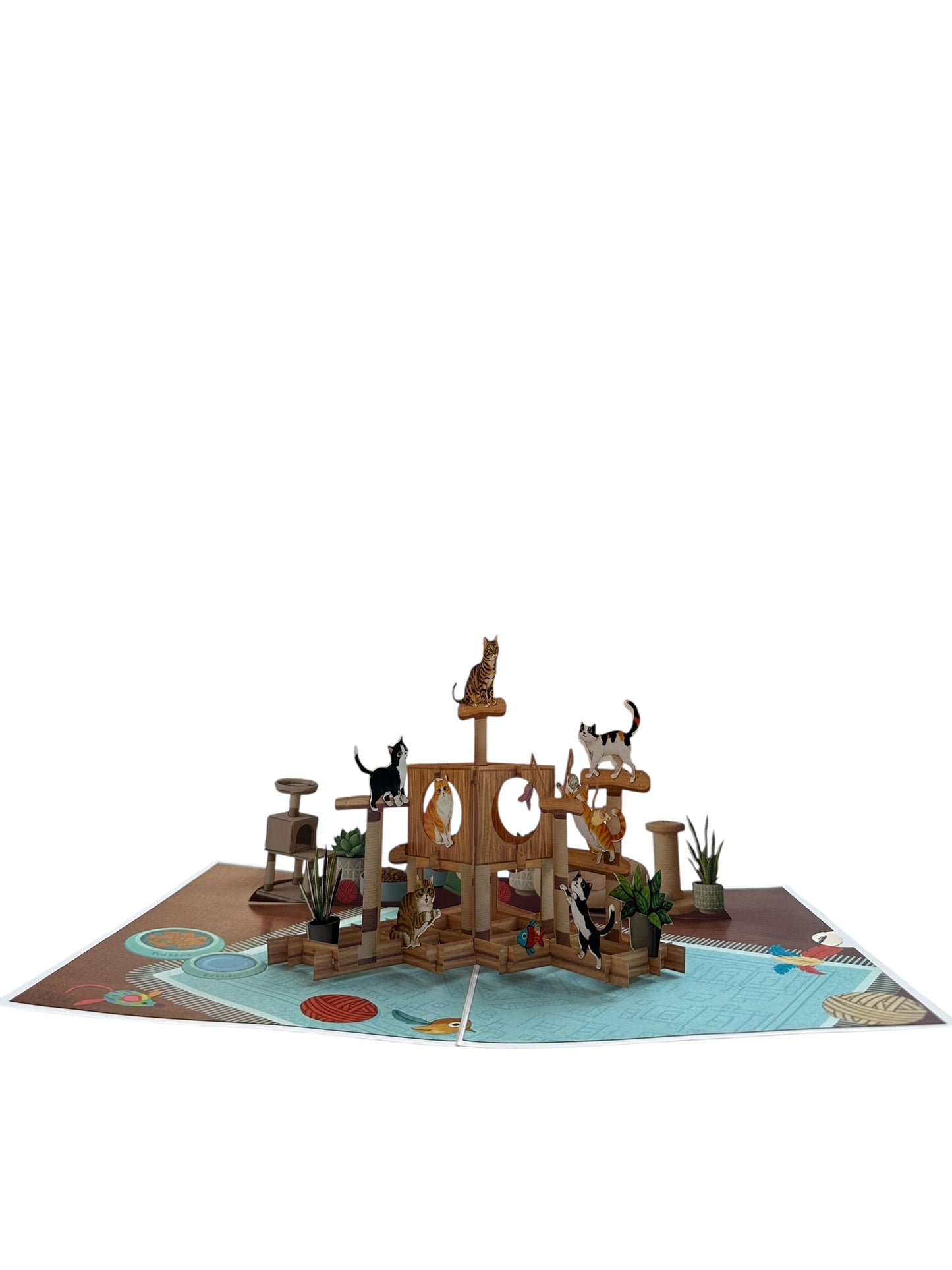 Cat House  Pop Up Card