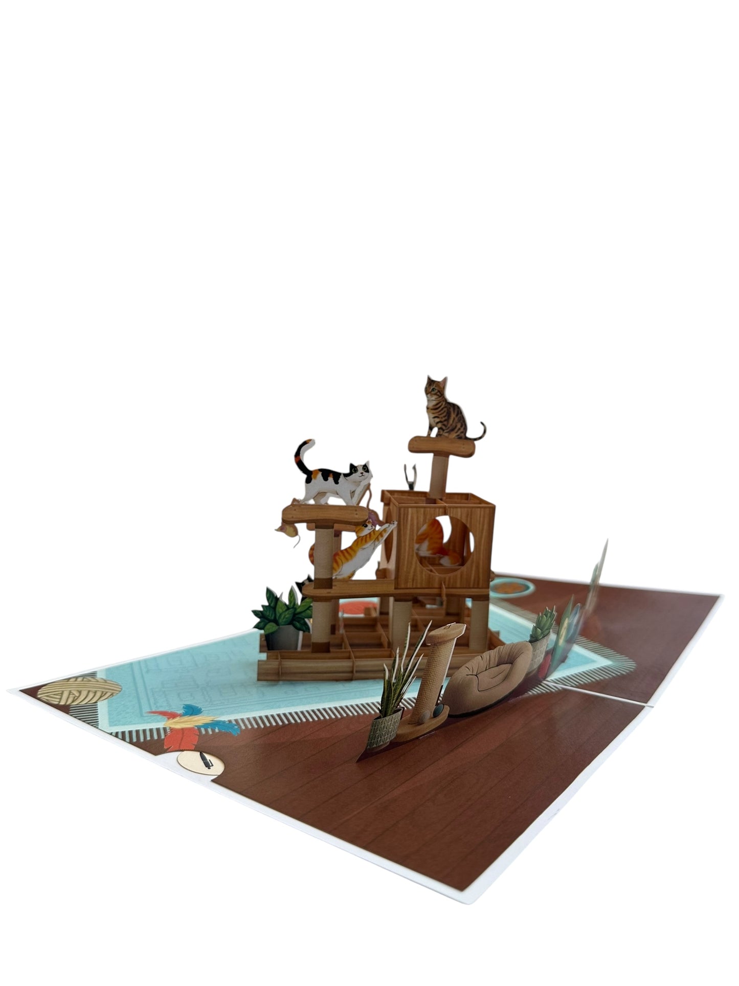 Cat House  Pop Up Card